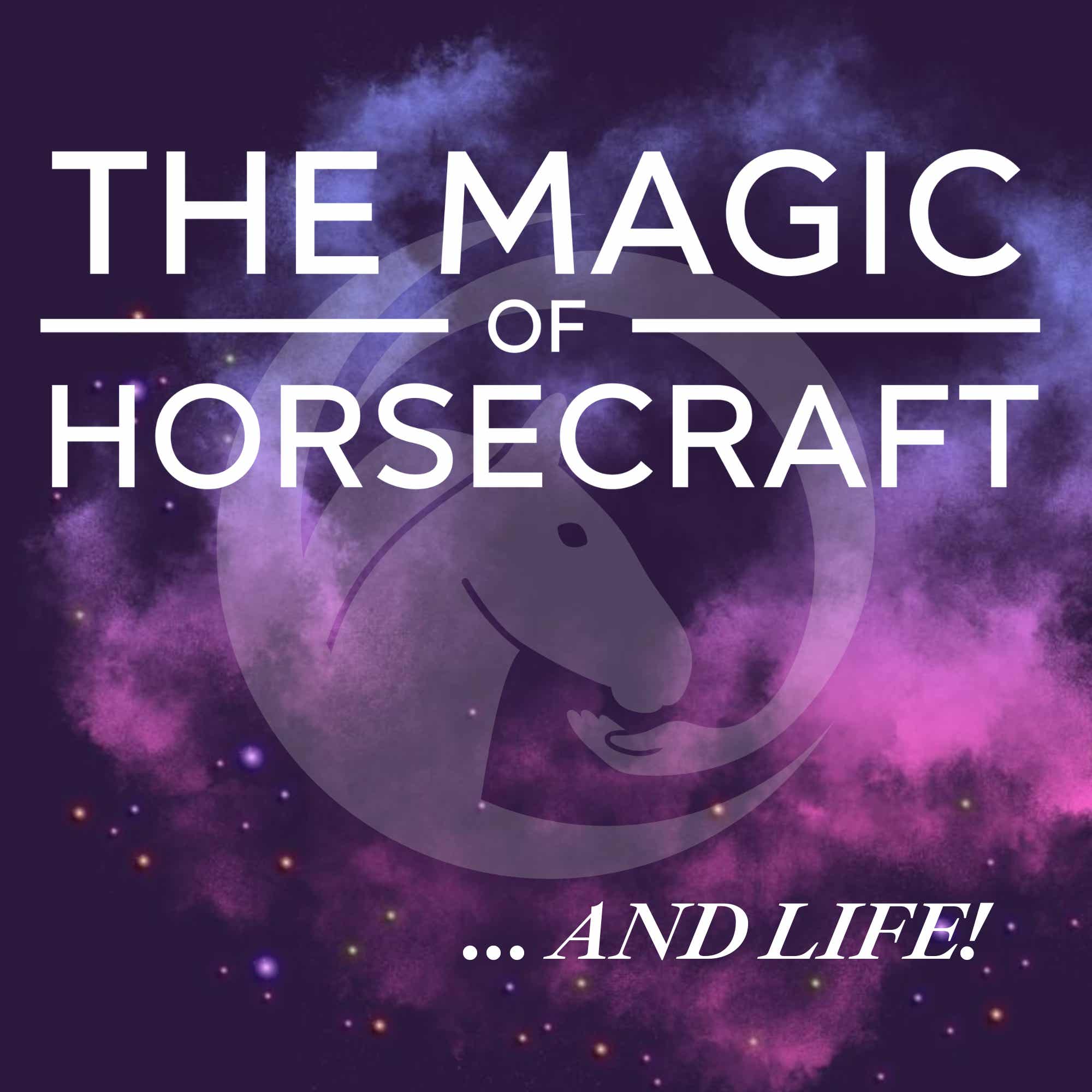 The Magic of Horsecraft ... AND LIFE!