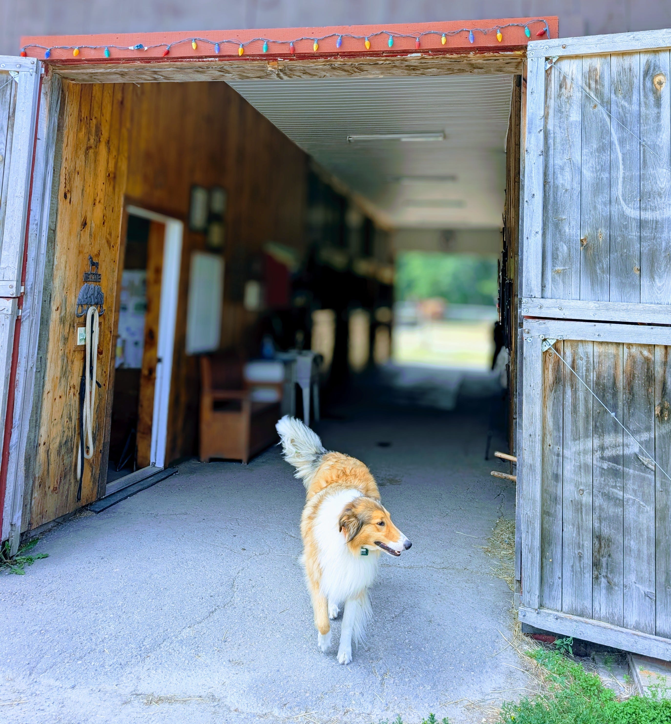 The Magic of Horsecraft