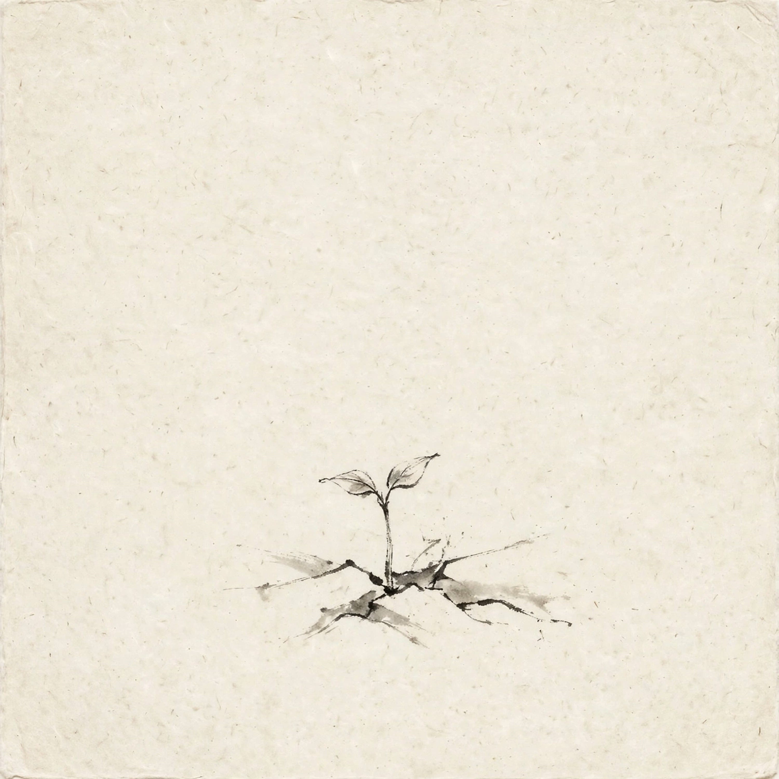 Beginner’s Mind episode artwork