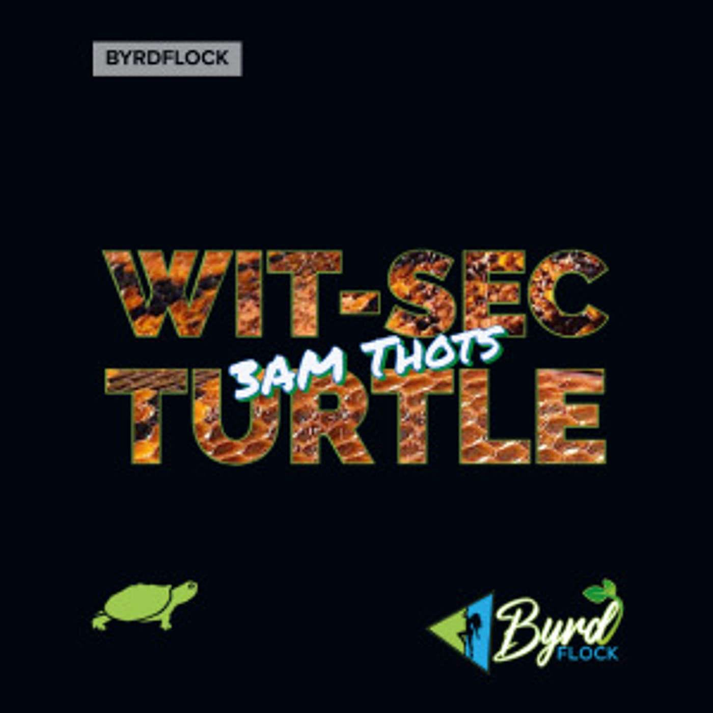 WIT-SEC Turtle