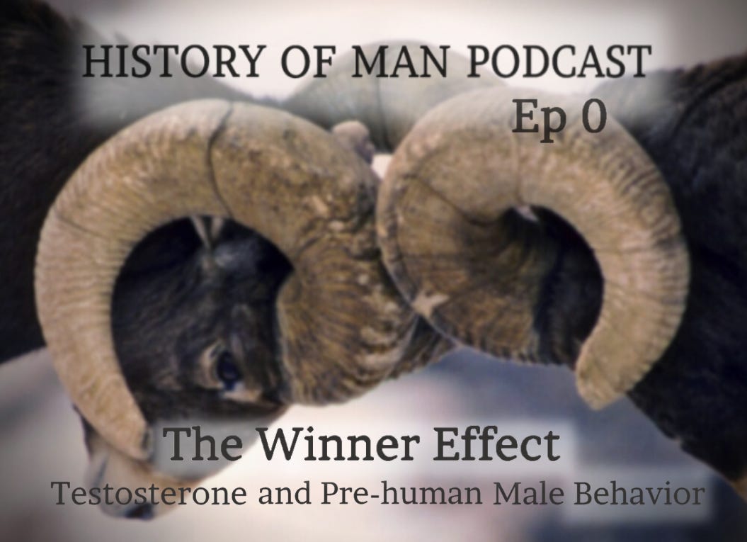 0 The Winner Effect: Testosterone and the Origins of Male Competition