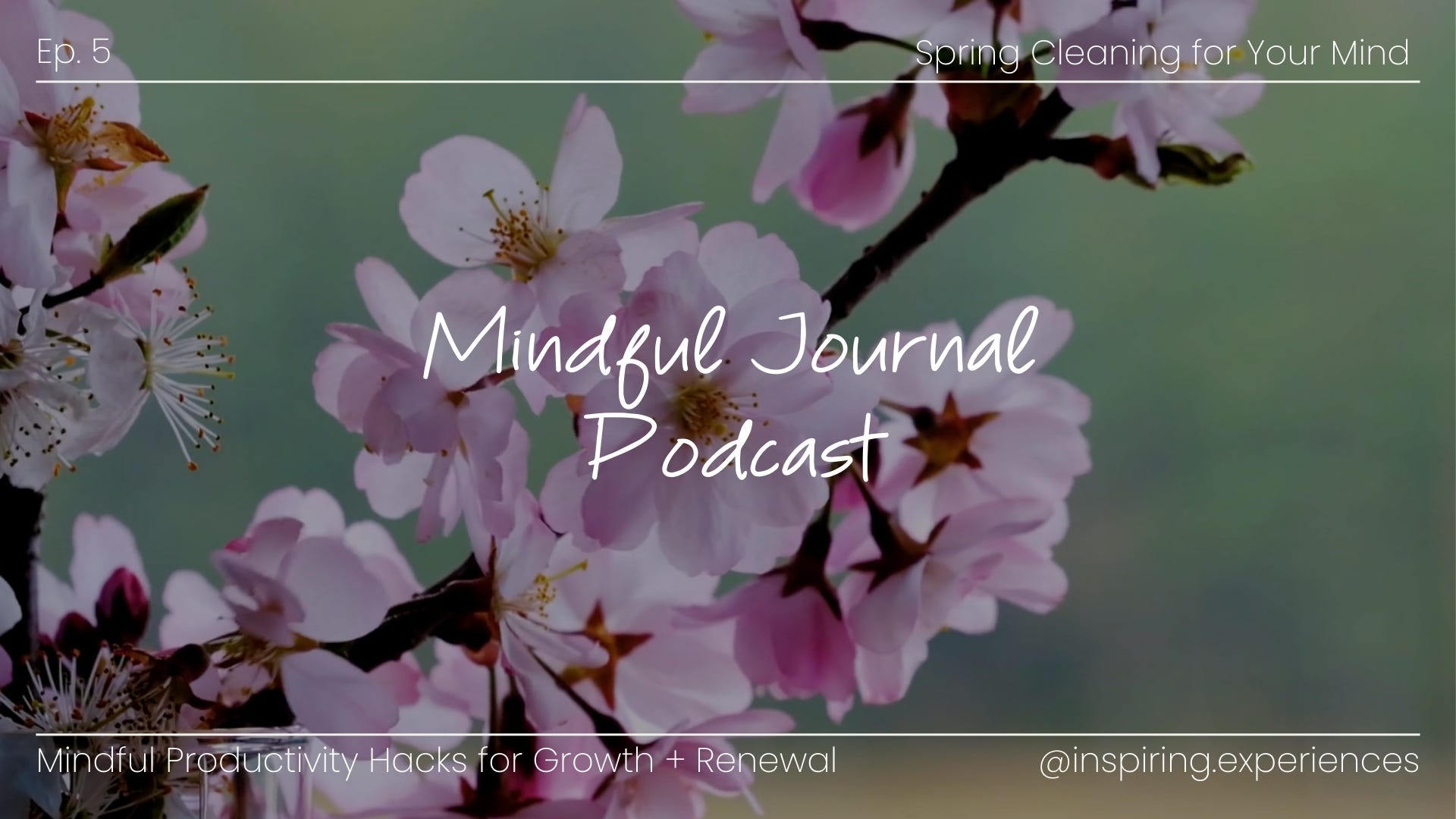 Spring Cleaning for Your Mind + Productivity episode artwork