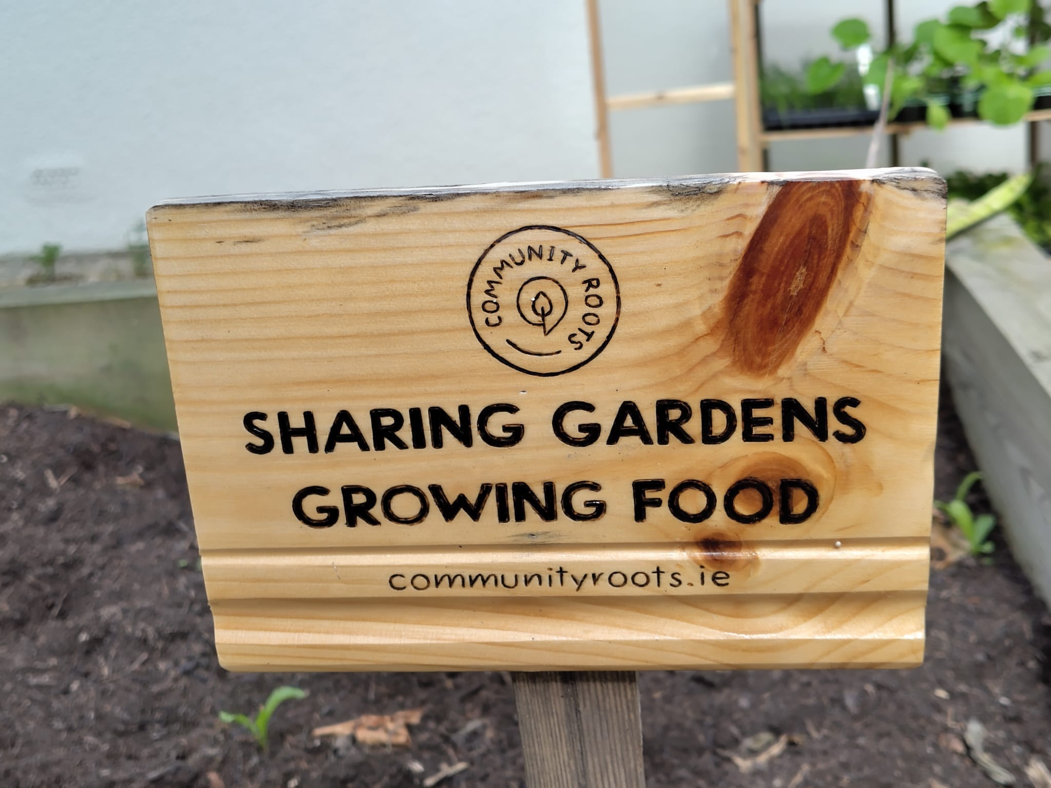 From Spare Gardens to Shared Futures: Scott Bryan’s Vision for Community Roots