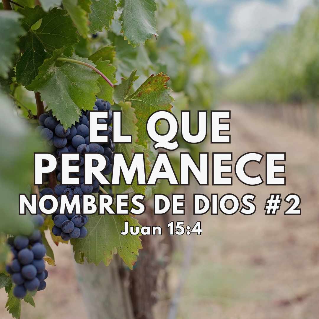 Conociendo a Dios a través de sus nombres