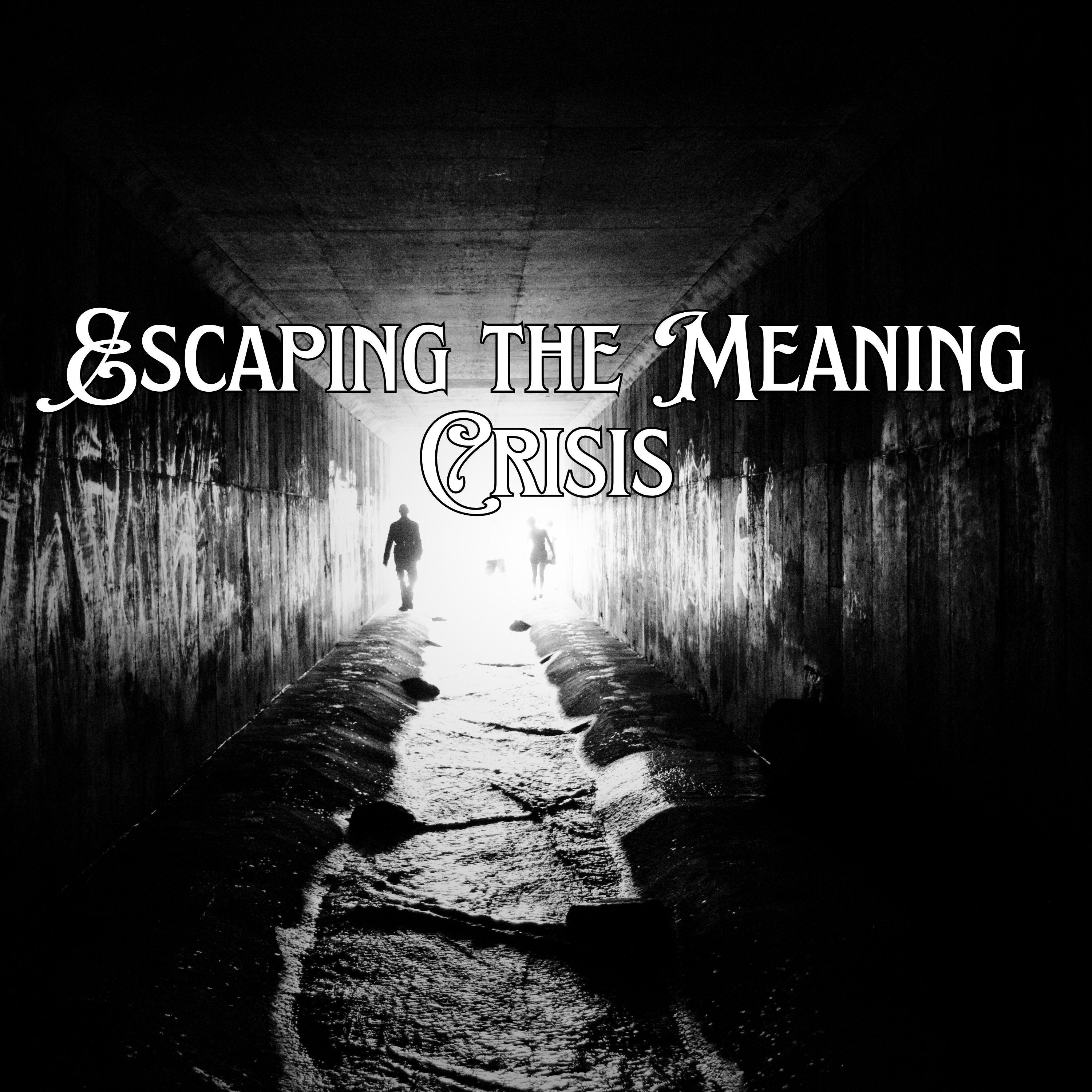 Escaping the Meaning Crisis and Understanding the Purpose of our Life