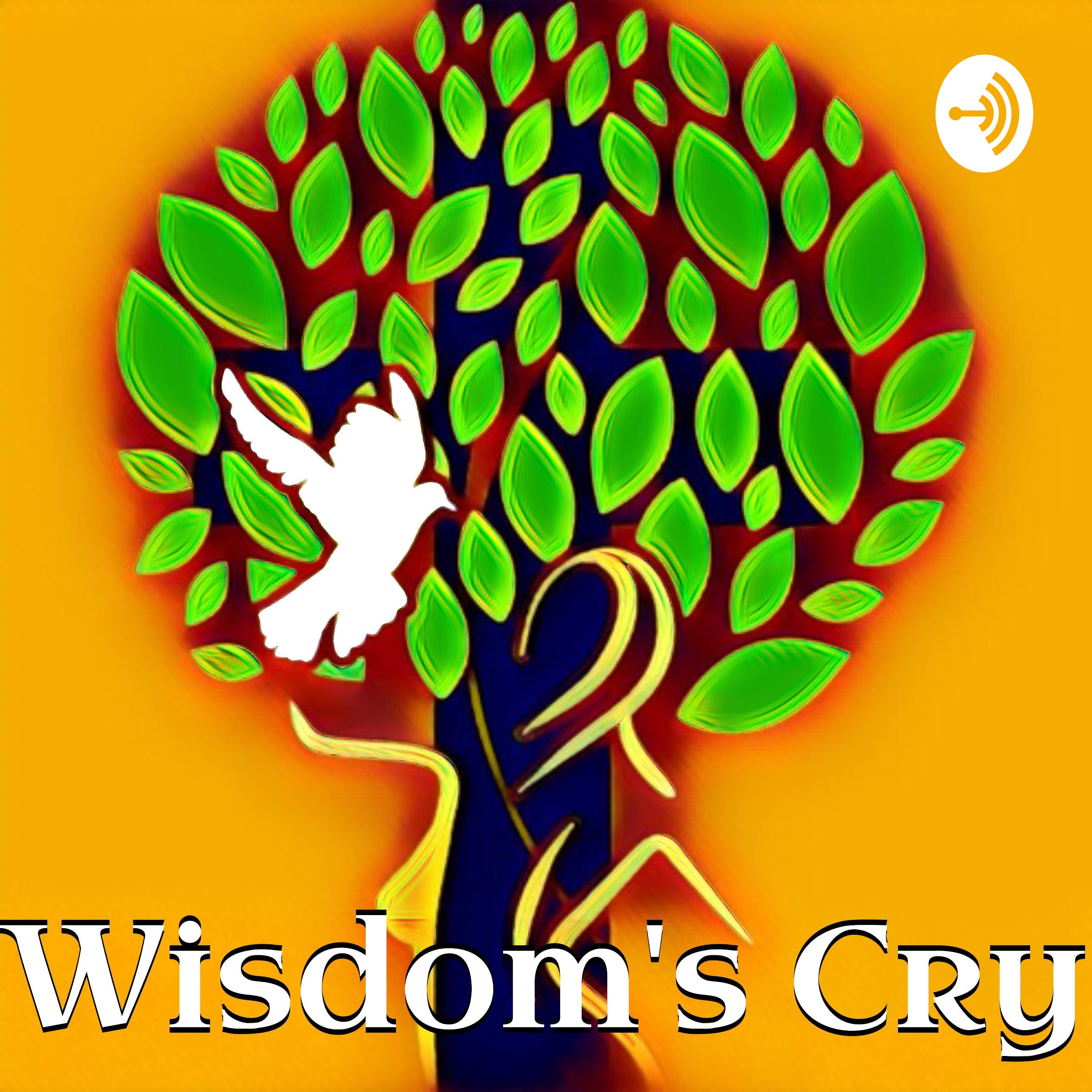 33- The Law of the Spirit episode artwork
