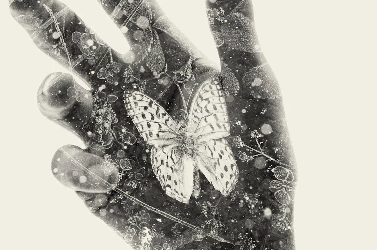 🎙️ A Blood Moon Eclipse in the Realm of Imaginal Cells