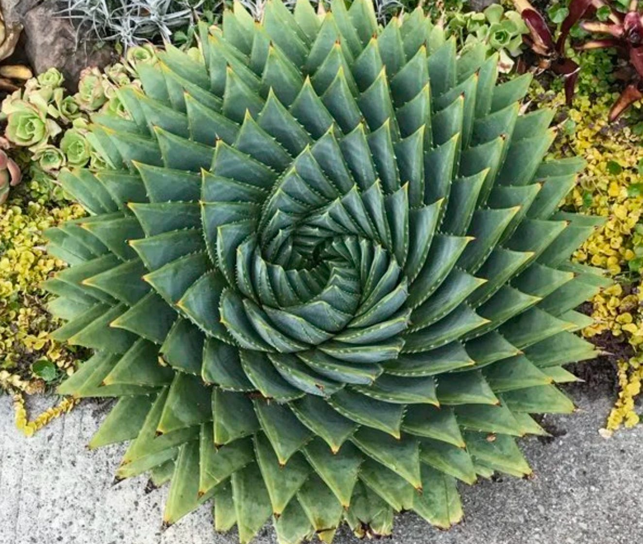 Time Is a Spiral: The I'Ching, The Zodiac, and the Eschatology We Need