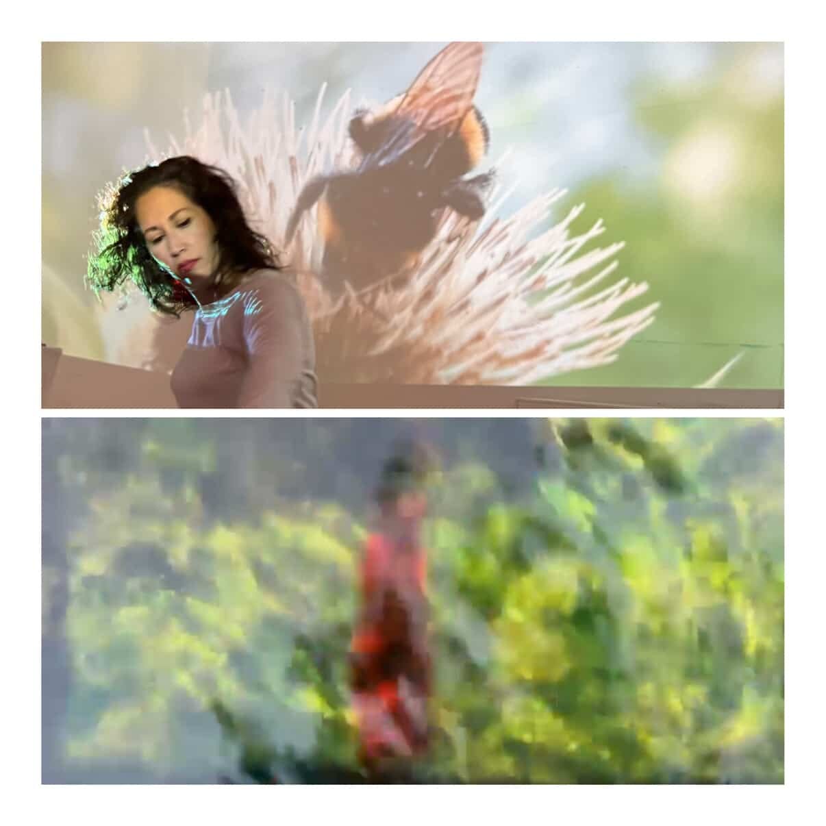 Creative Momentum with Meg Dunley Podcast