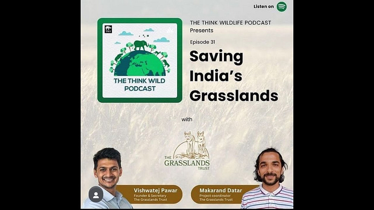 Think Wildlife Foundation