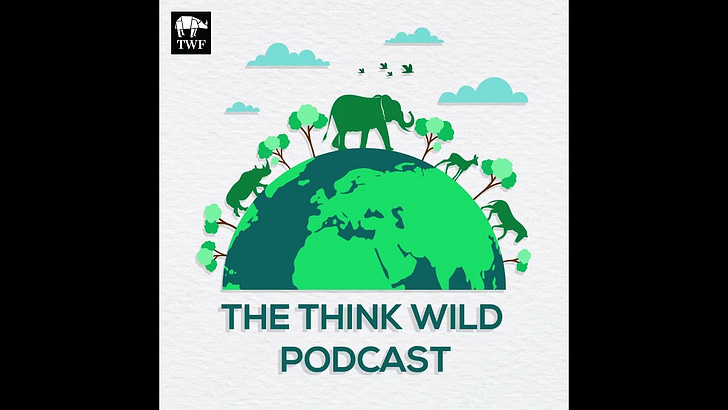 S3|EP41 - Facilitating Human-Elephant Coexistence in Thailand with Anandi Gandhi