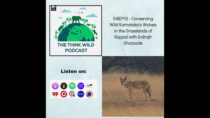 S4|EP13 - Conserving Wild Karnataka's Wolves in the Grasslands of Koppal