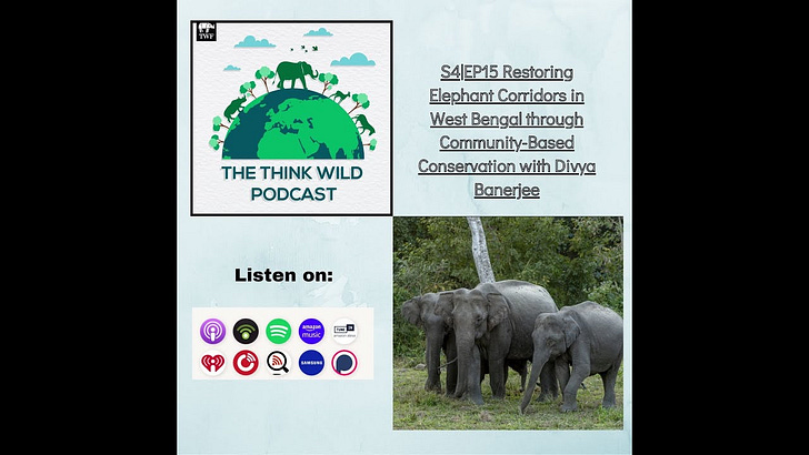 S4|EP15 Restoring Elephant Corridors in West Bengal through Community-Based Conservation with Divya Banerjee