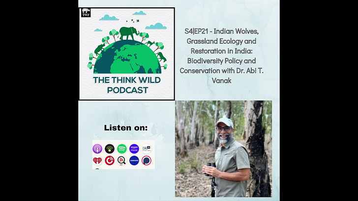 S4|EP21 - Indian Wolves, Grassland Ecology and Restoration in India: Biodiversity Policy and Conservation with Dr. Abi T. Vanak
