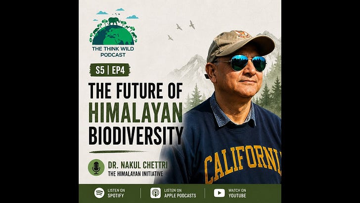S5|EP4: The Future of Himalayan Biodiversity | Dr. Nakul Chettri | The Himalaya Initiative episode artwork