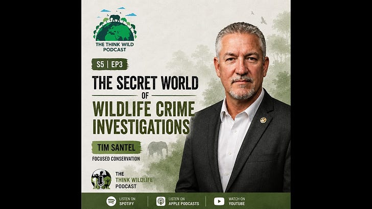 S5|EP3 - The Secret World of Wildlife Crime Investigations| Tim Santel, Focused Conservation episode artwork