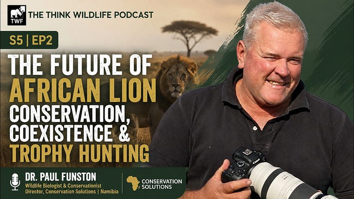 S5|EP2- The Future of African Lion Conservation, Coexistence and Trophy Hunting | Dr. Paul Funston episode artwork