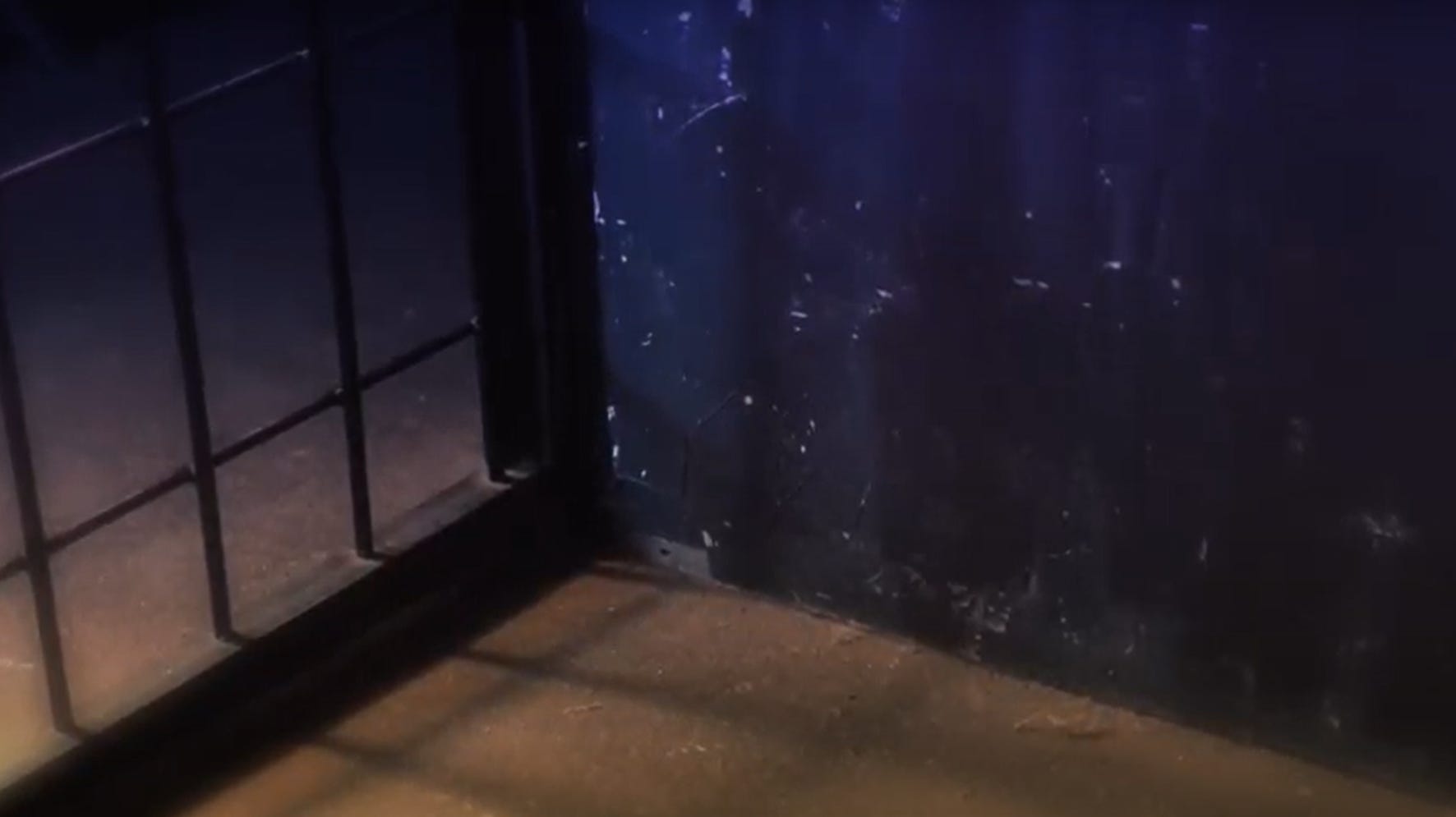 This Strange Sight 🎧 Episode 8