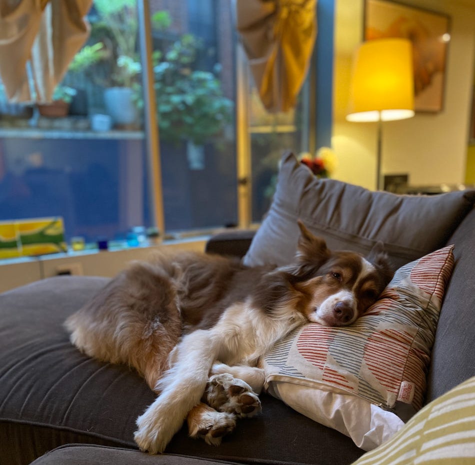 MorningPoems Podcast