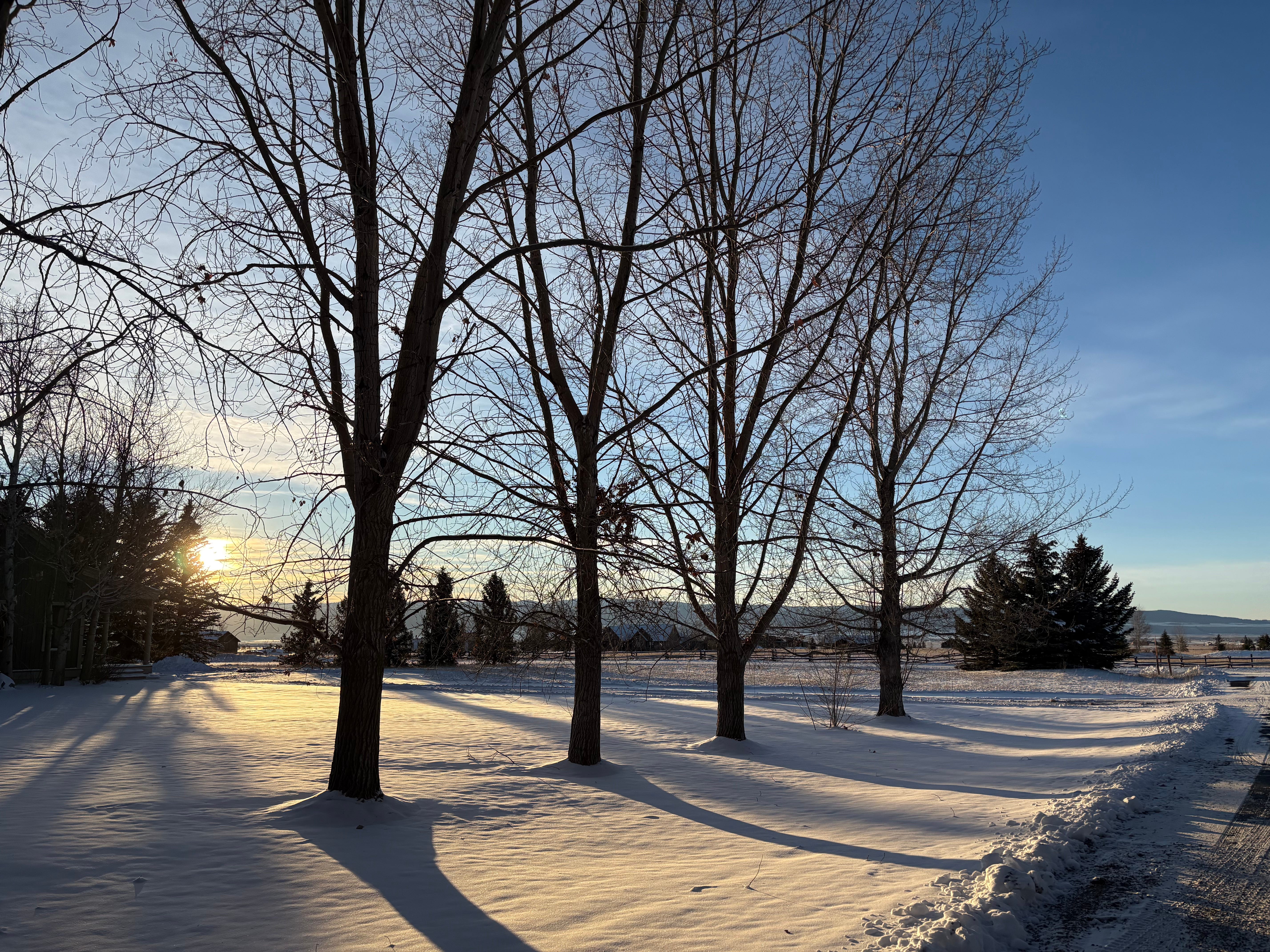 How to Protect your Health When the World Feels Like It's Falling Apart