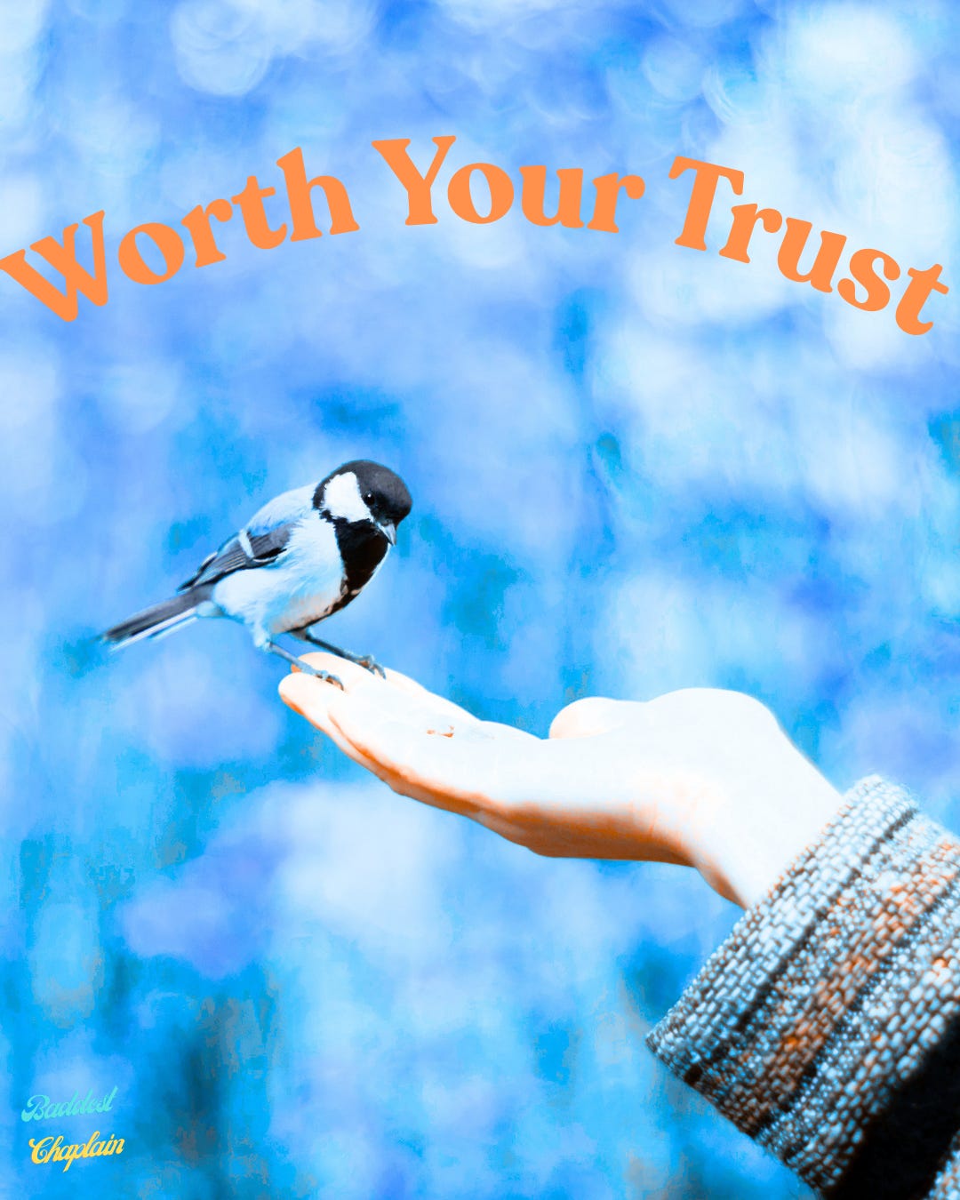 Worth Your Trust episode artwork