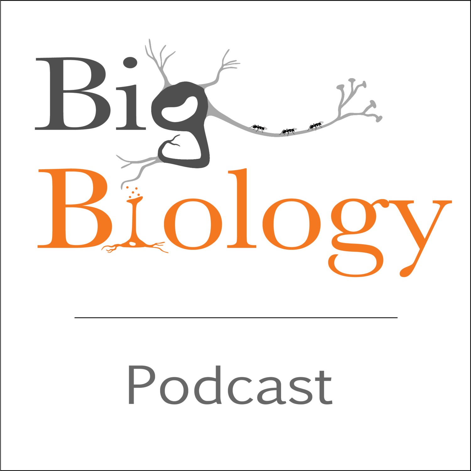 The future of Big Biology