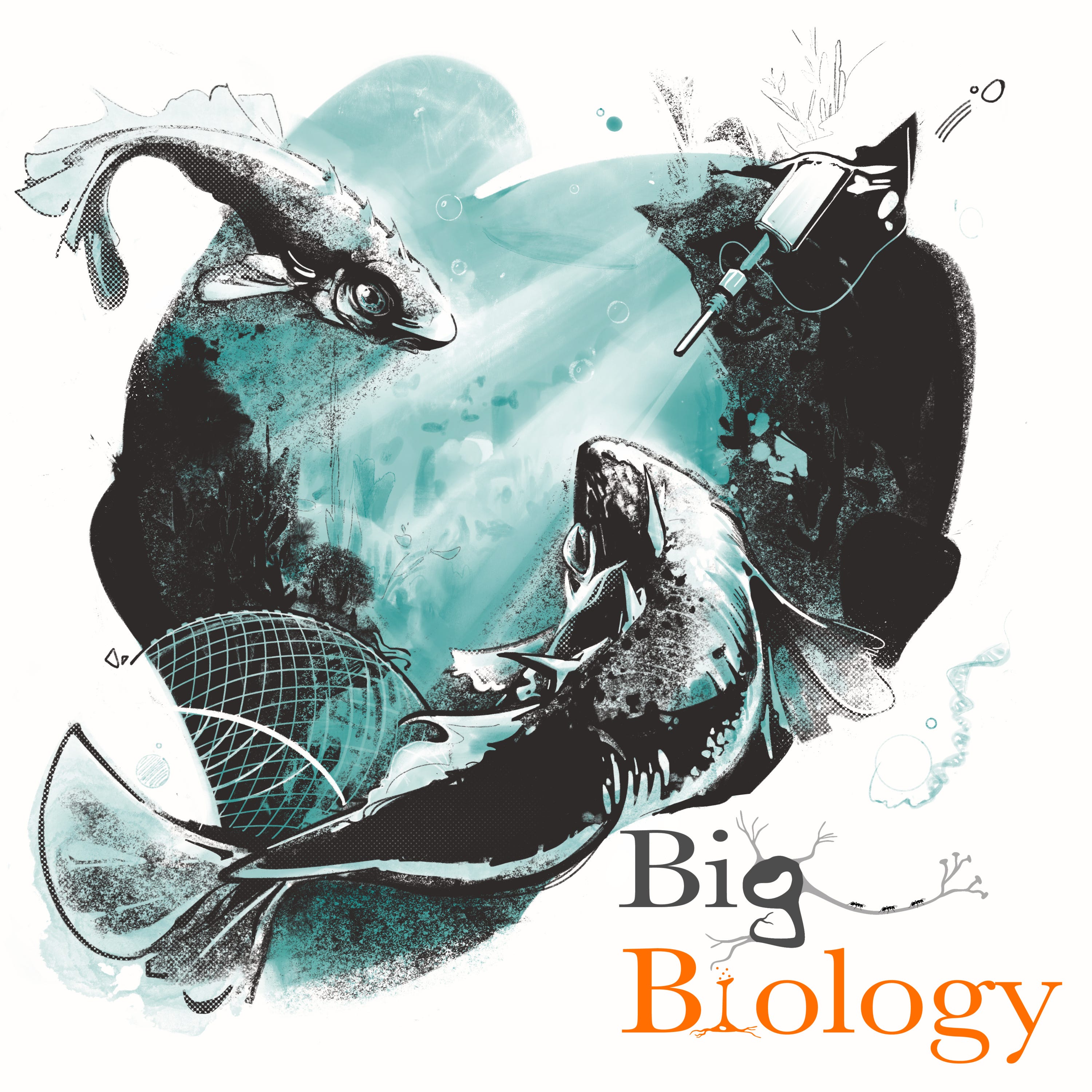 Long-term experimental evolution in the wild (Ep 106)