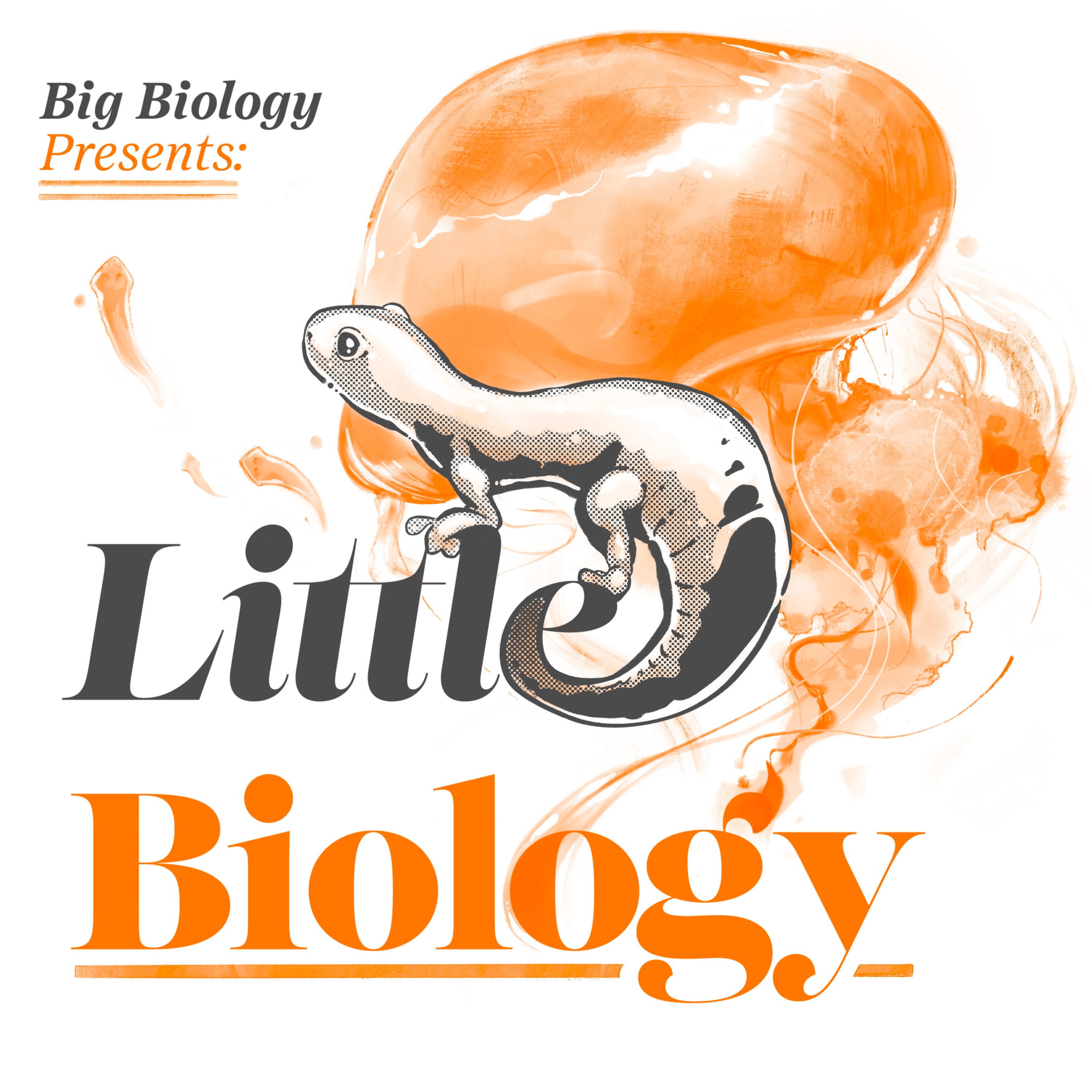 Little Biology: Why can’t I regrow my arm?