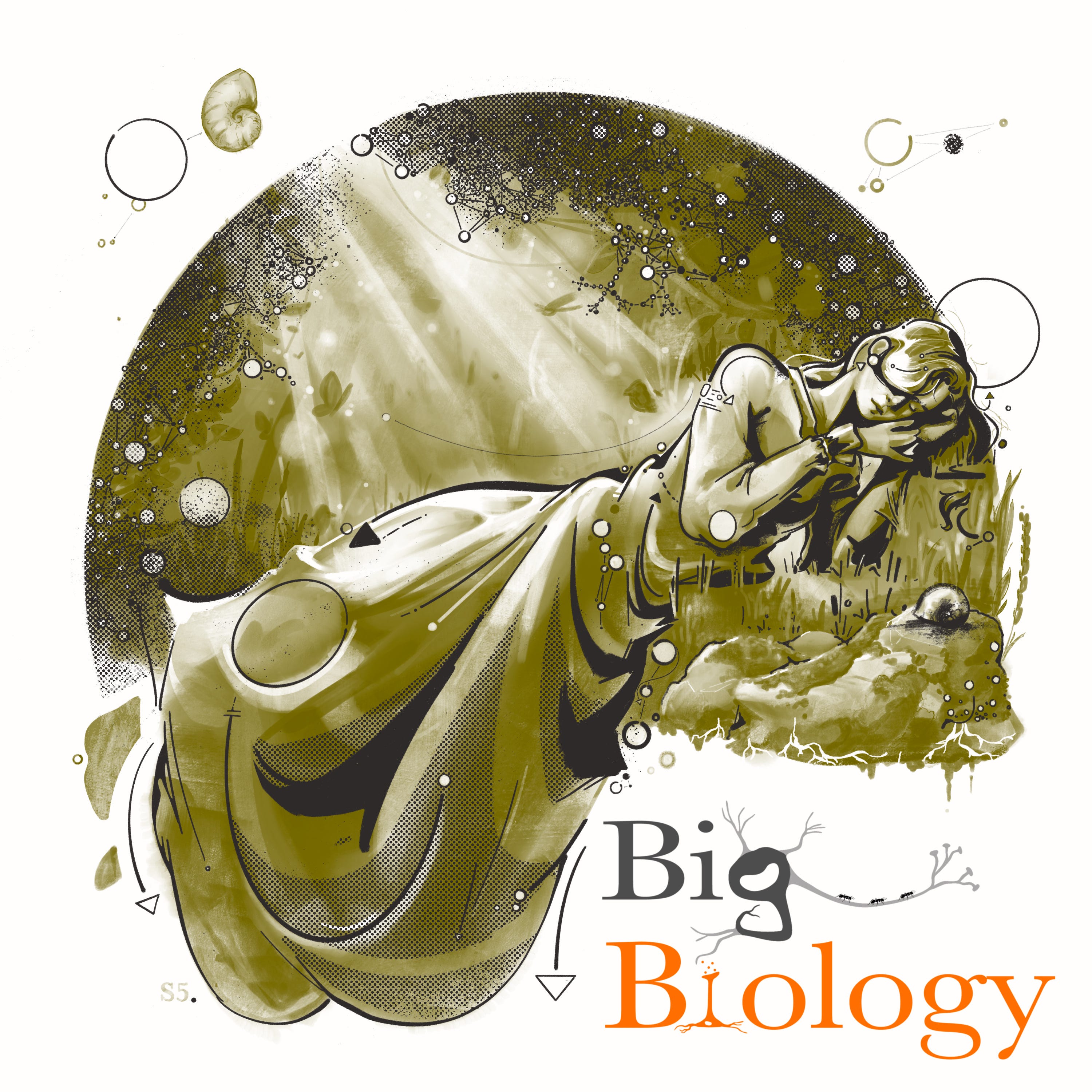 Sleeping beauties: the mystery of dormant innovations in nature and culture (Ep 104)