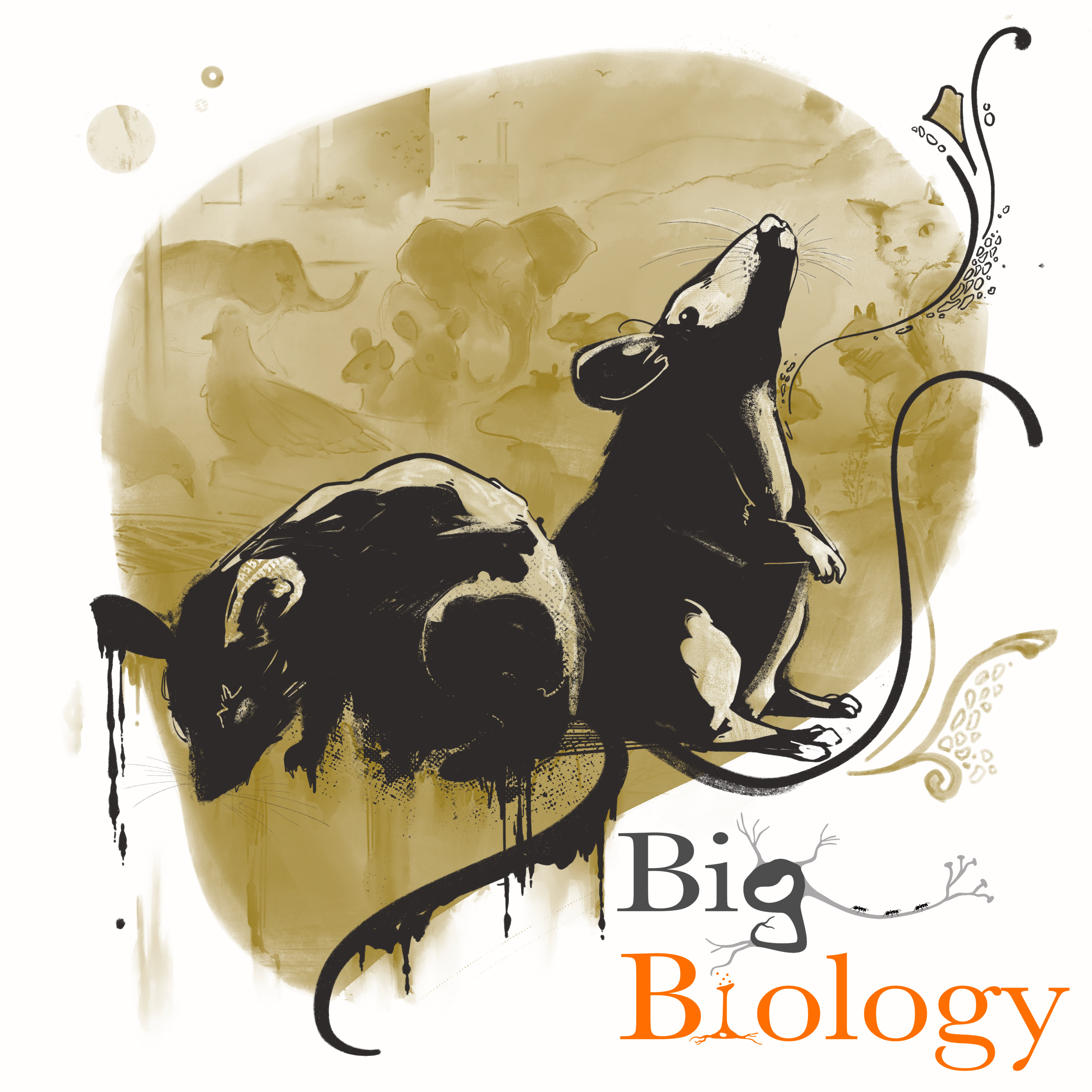 Pest-o, change-o: how culture shapes our view of animal commensals (Ep 103)