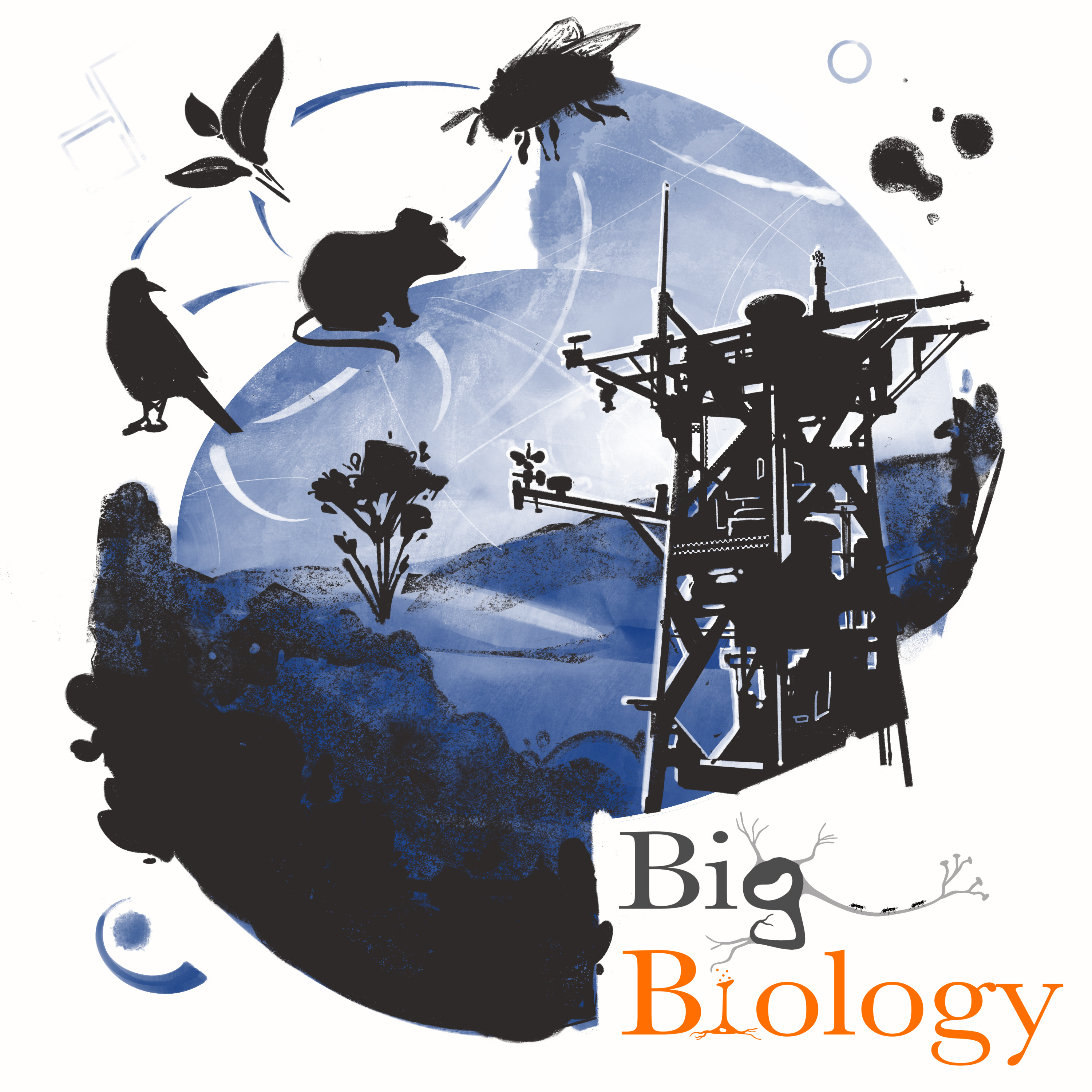 NEON: The promises and challenges of large-scale ecological research (Ep 101)