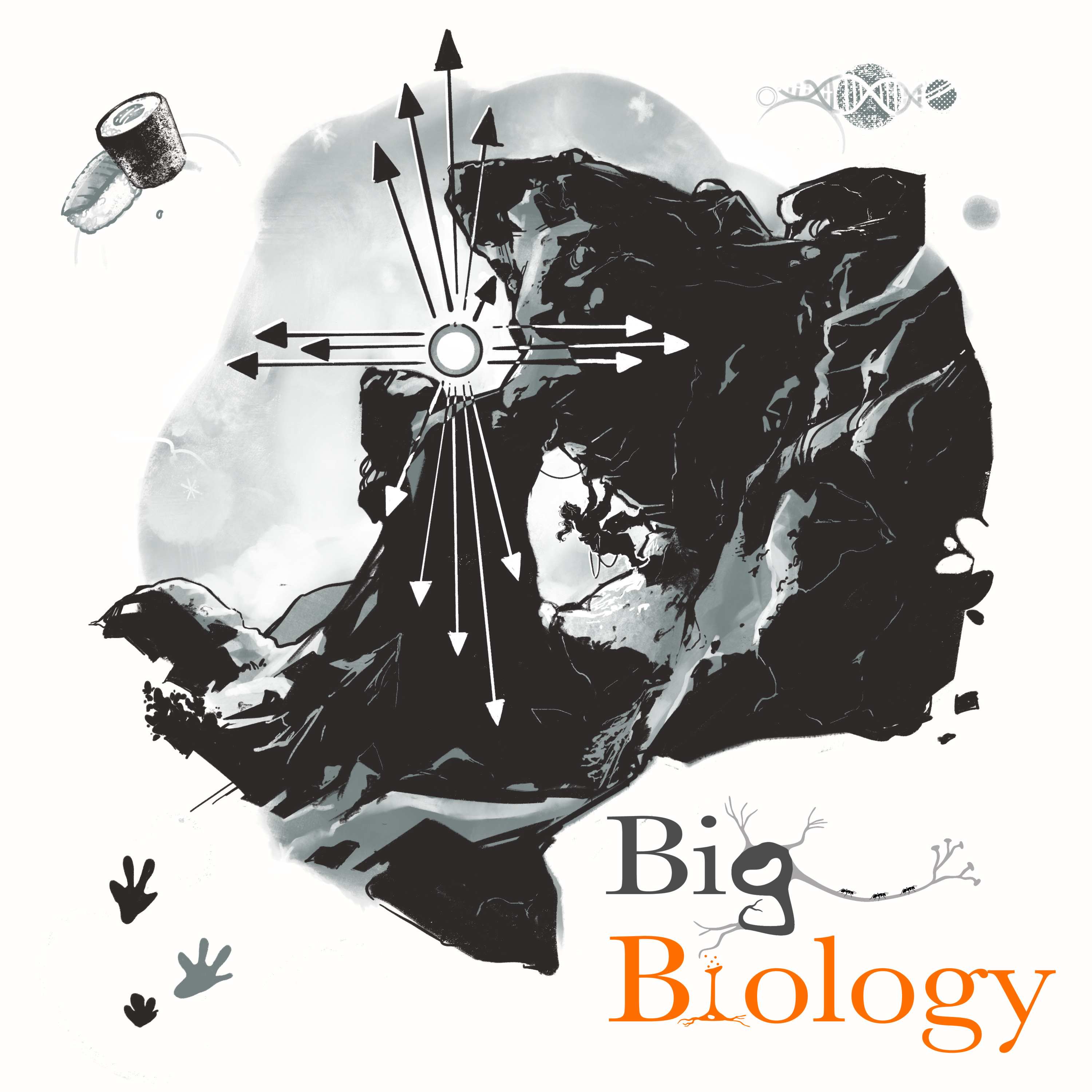 Mutation bias in evolution: climbing Mount Probable (Ep 97)