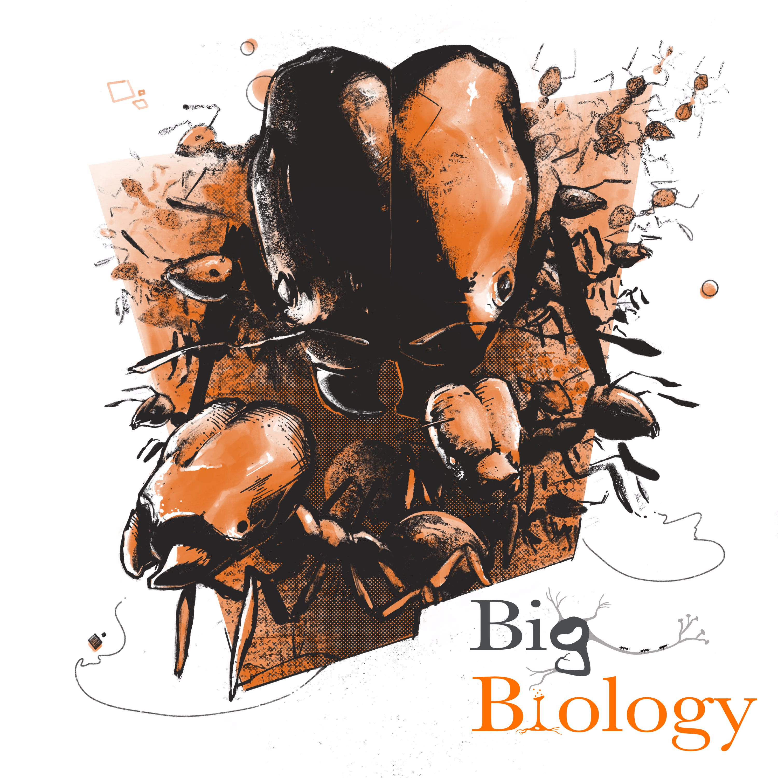 How stealth organs make super soldier ants (Ep 91)