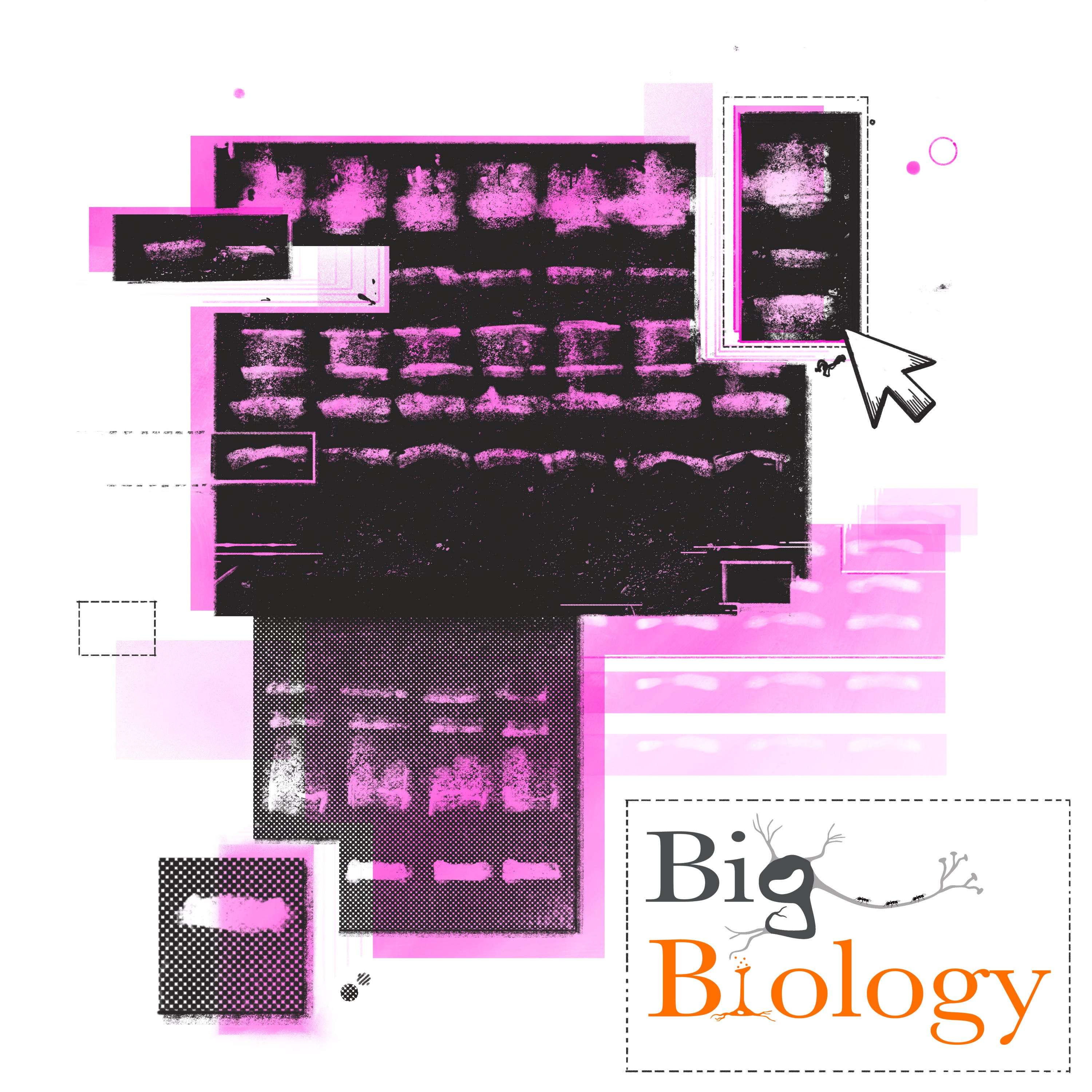 Fabricated images threaten the integrity of Alzheimer’s research (Ep 90)