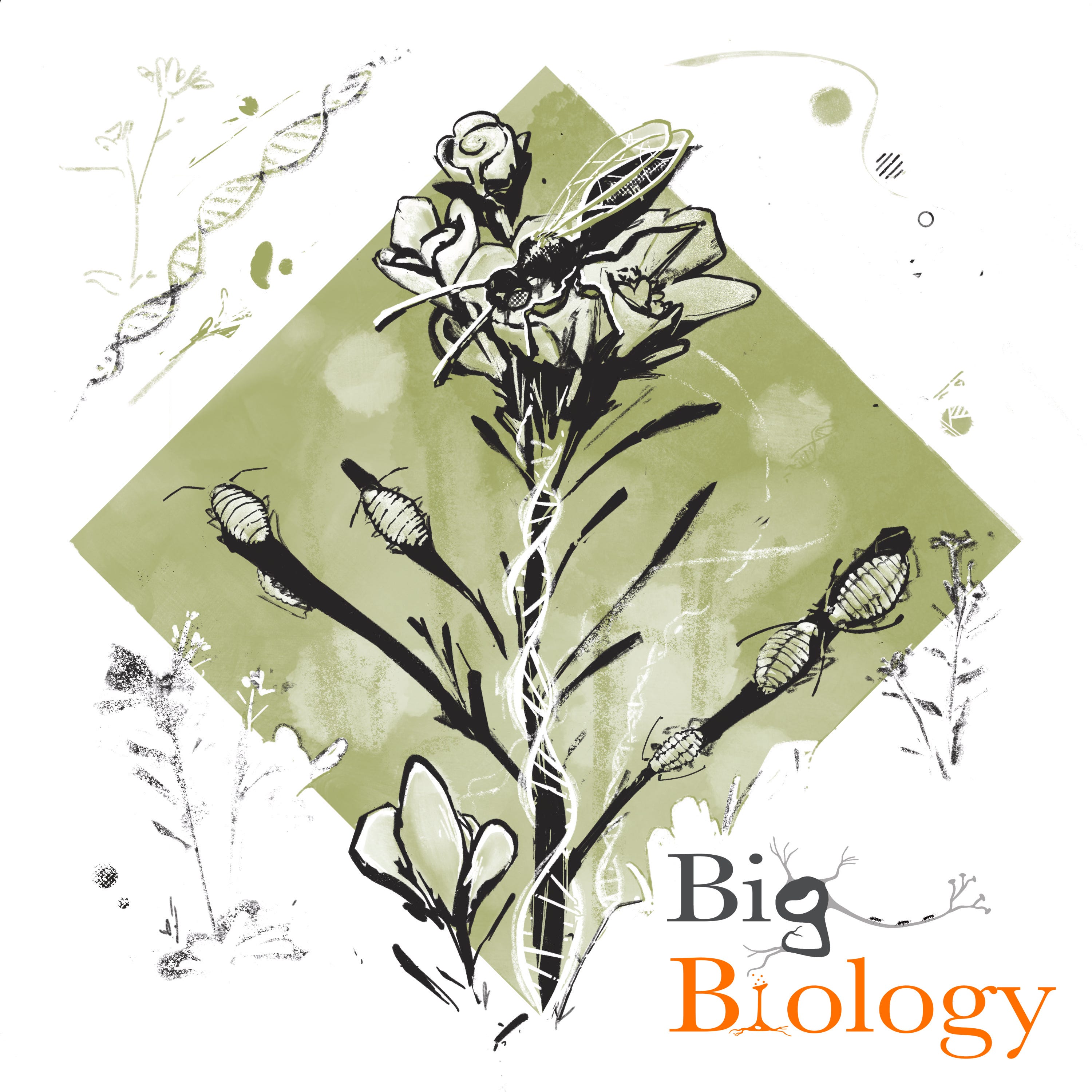 How one gene determines the fate of a food web (Ep 89)
