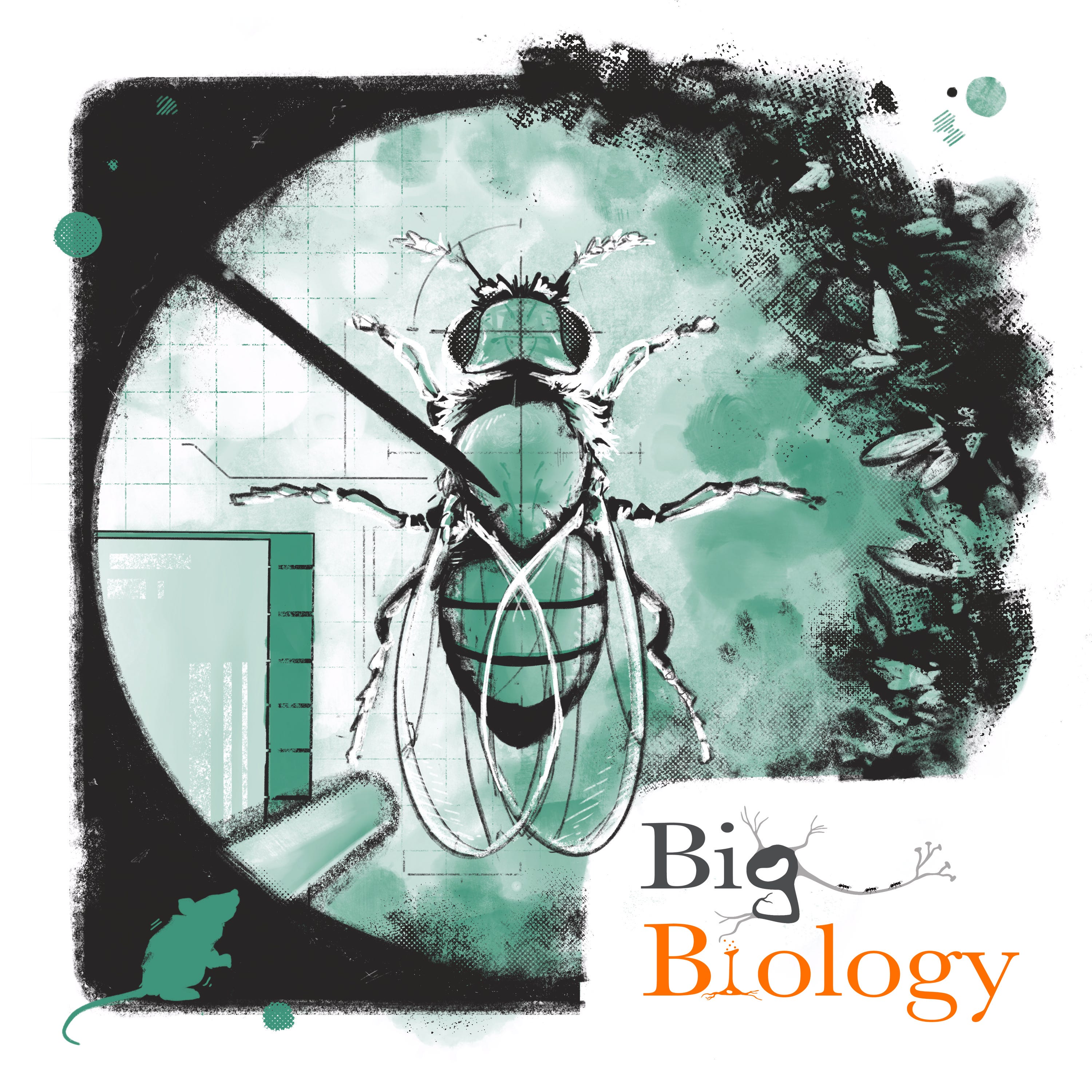 Life in the lab, are model organisms an asset or impediment to biology? (Ep 87)