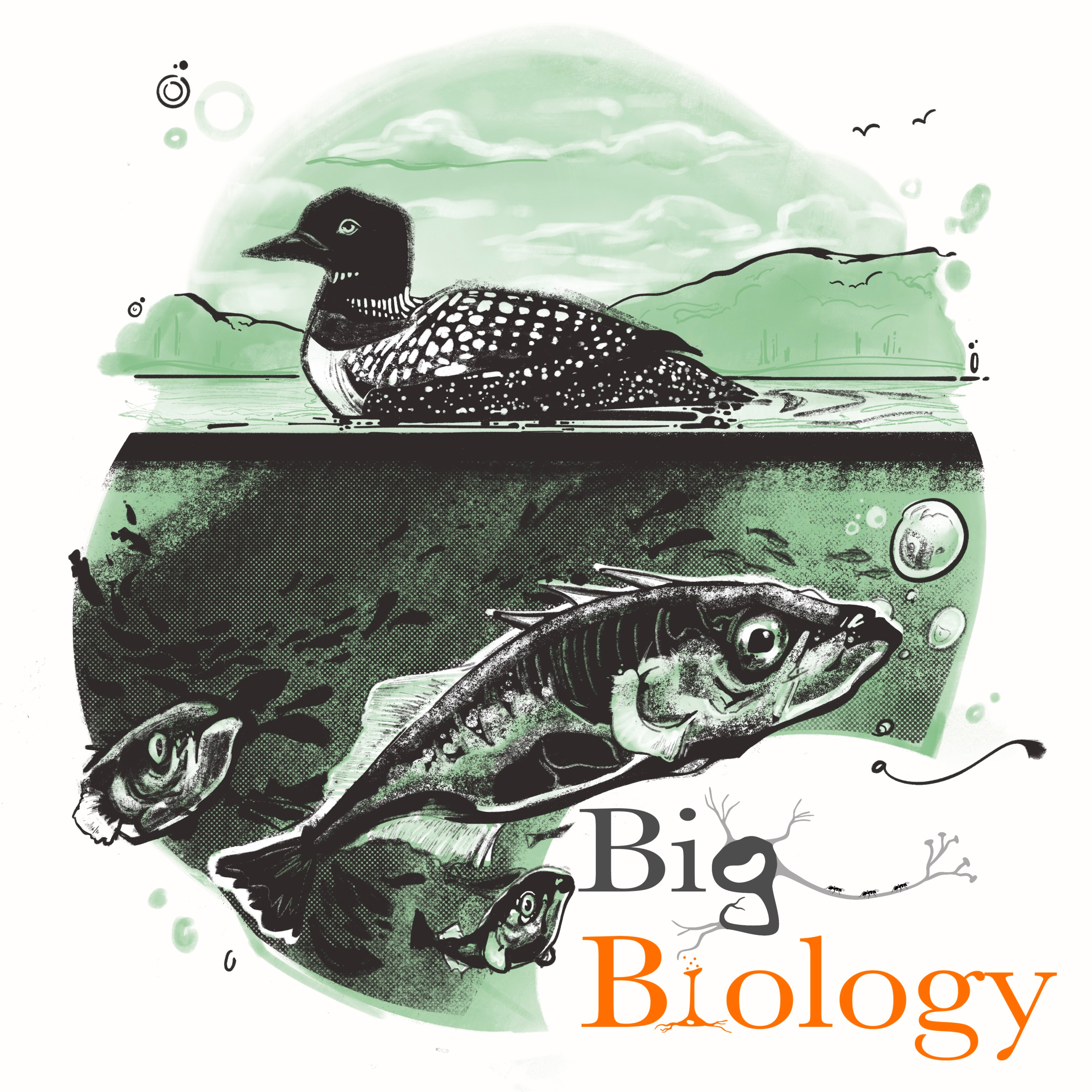 Stickle-back to the future: experimental evolution in nature (Ep 121)