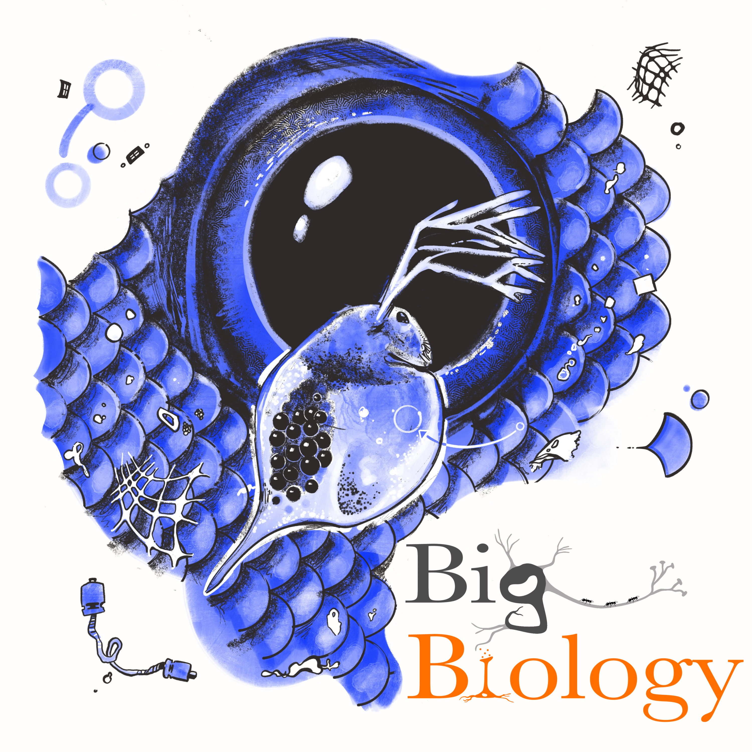 Microplastics, macro-problems (Ep 133)