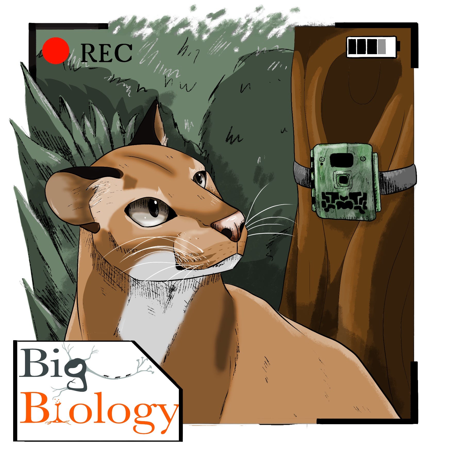 Heart of gold (Ep 144)