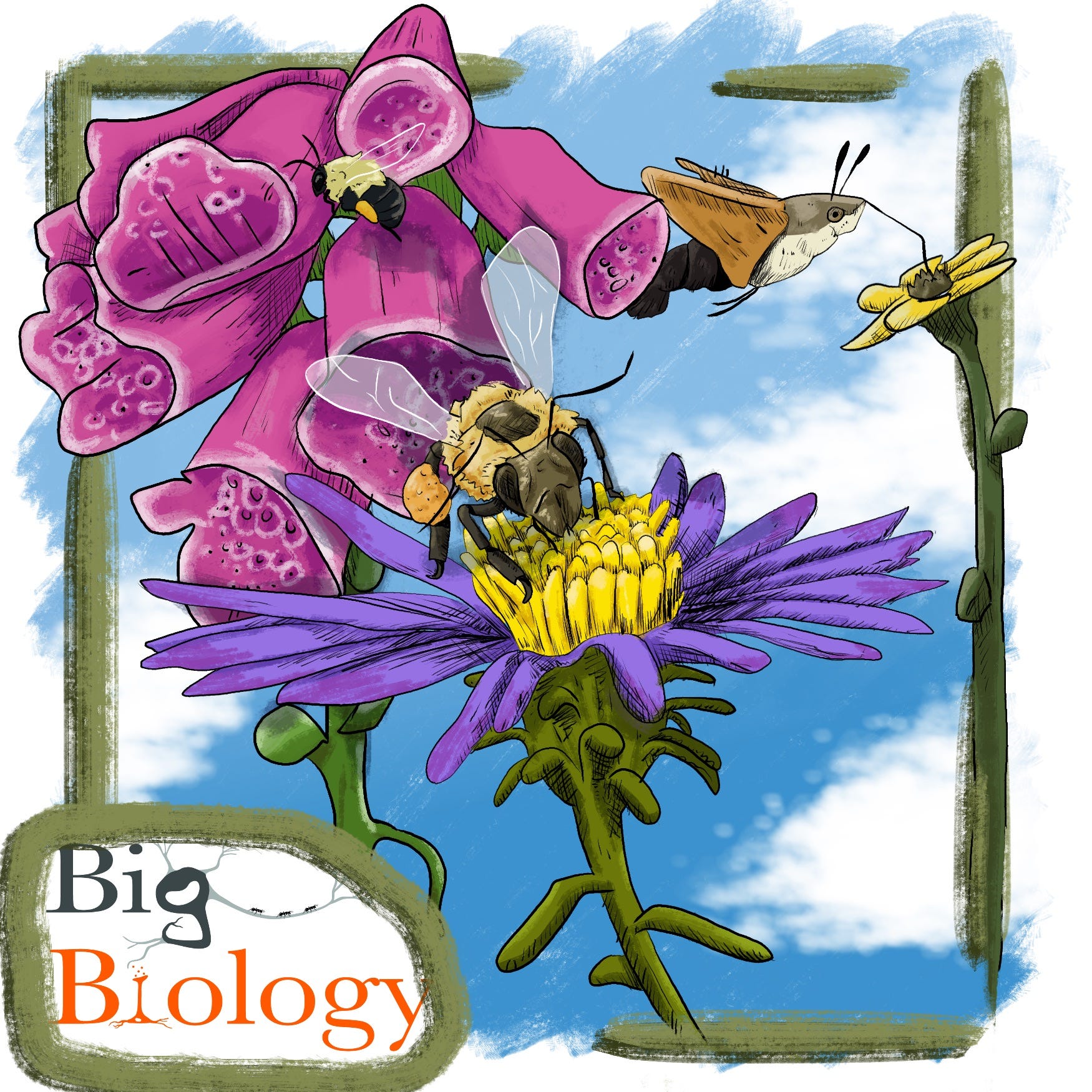 A coevolutionary conundrum (Ep 152)