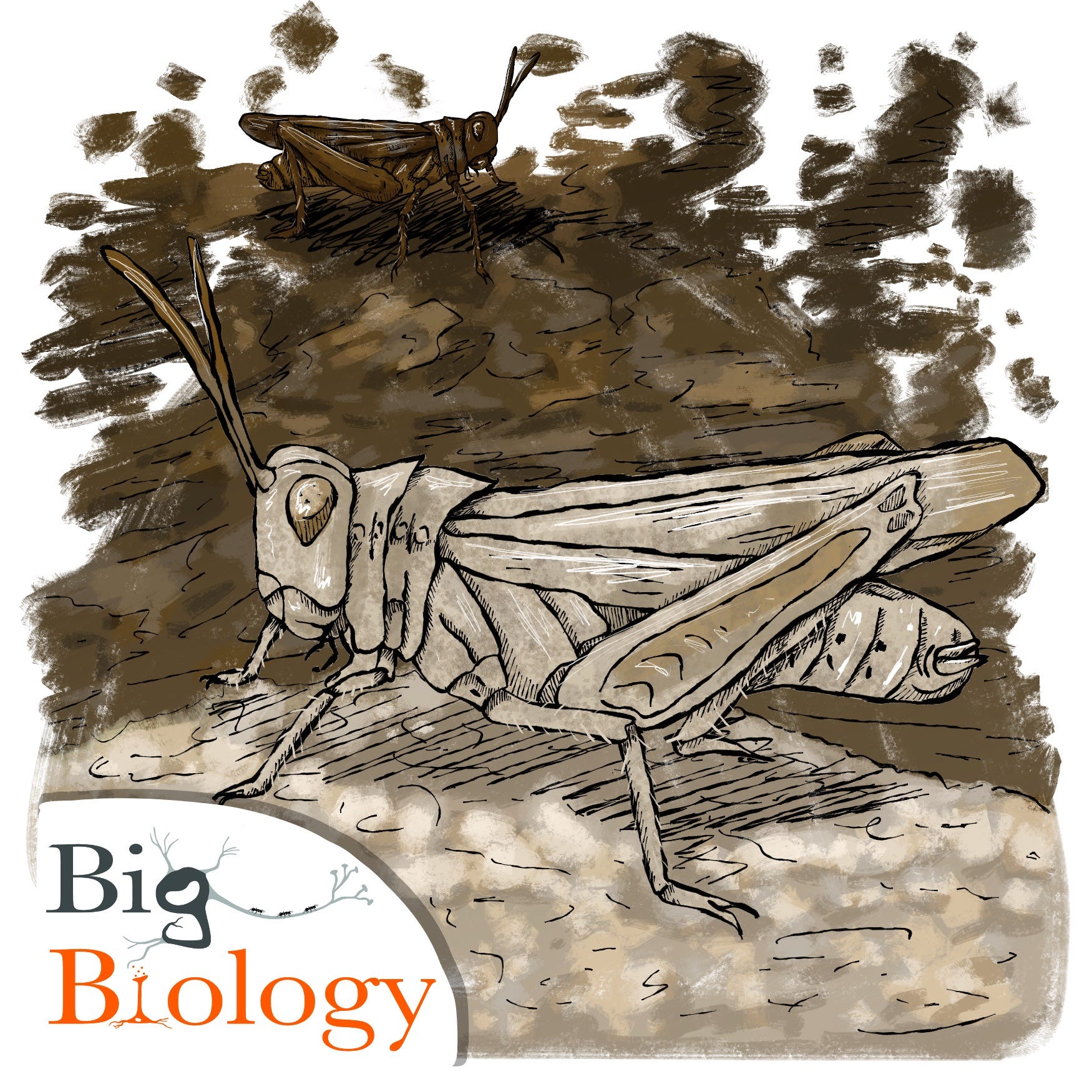  - "The Selecting Organism” with Pim Edelaar