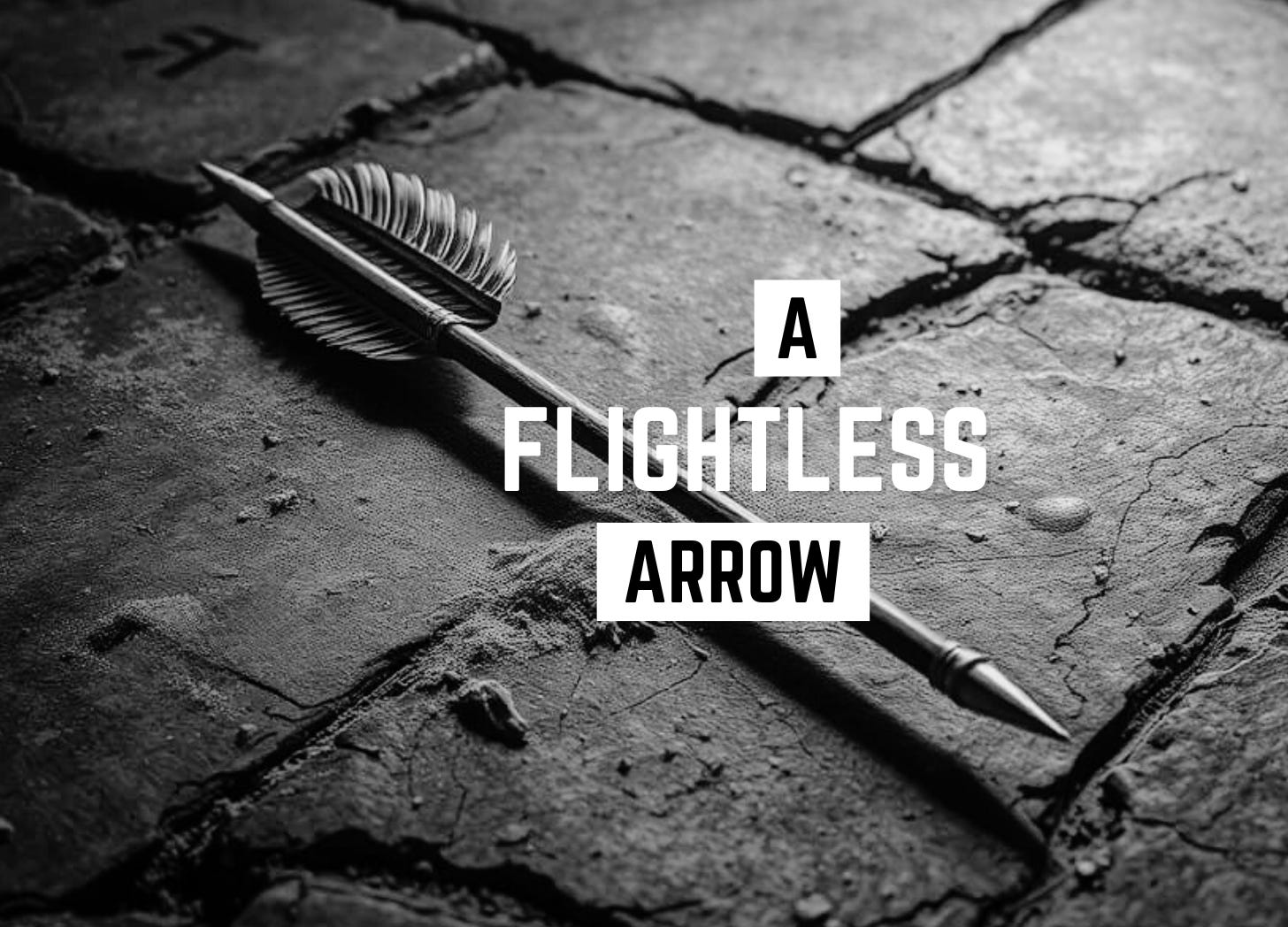 A flightless arrow episode artwork
