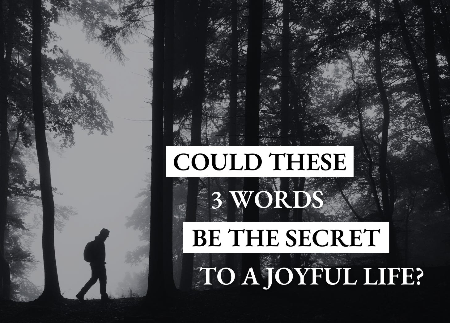 The Freethinker 1-1-1: Could these 3 words be the secret to a joyful life? episode artwork