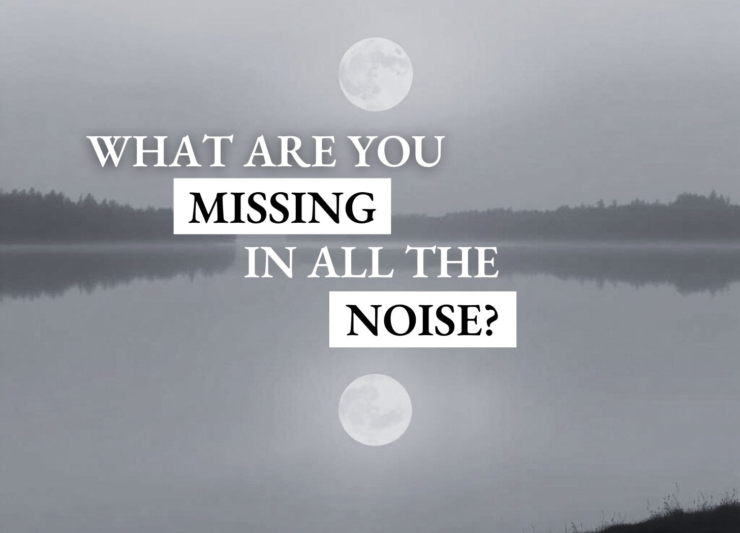The Freethinker 1-1-1: What are you missing in all the noise? episode artwork