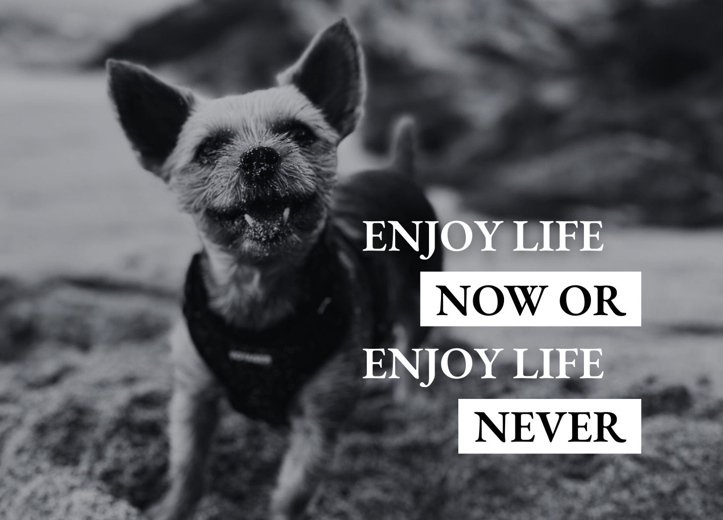The Freethinker 1-1-1: Enjoy life now or enjoy life never episode artwork