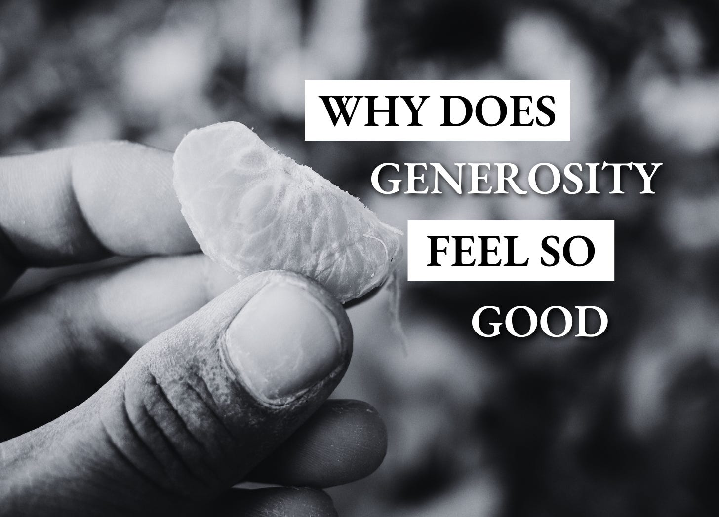The Freethinker 1-1-1: Why does generosity feel SO good? episode artwork