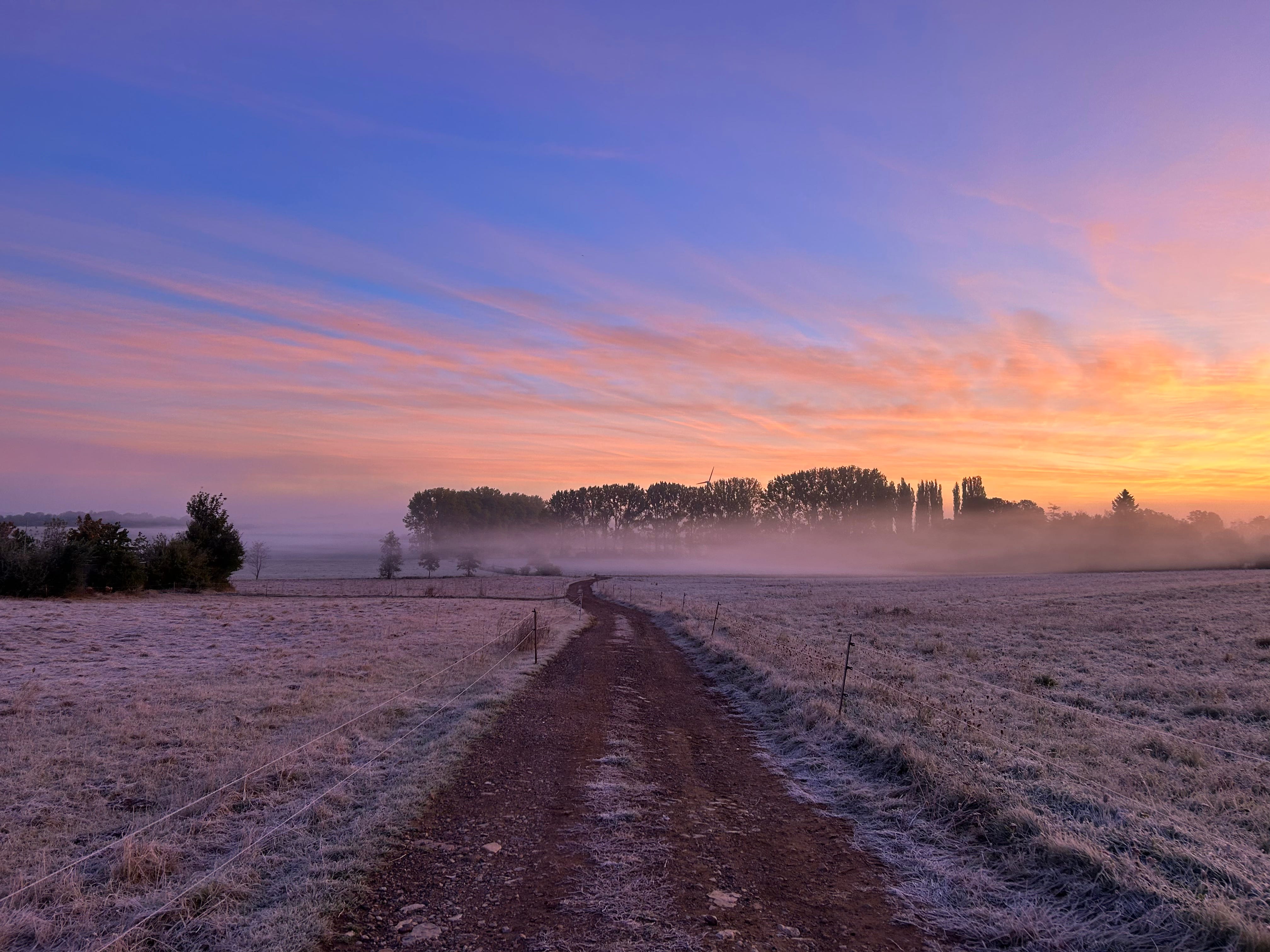 Surprising Offspring Podcast