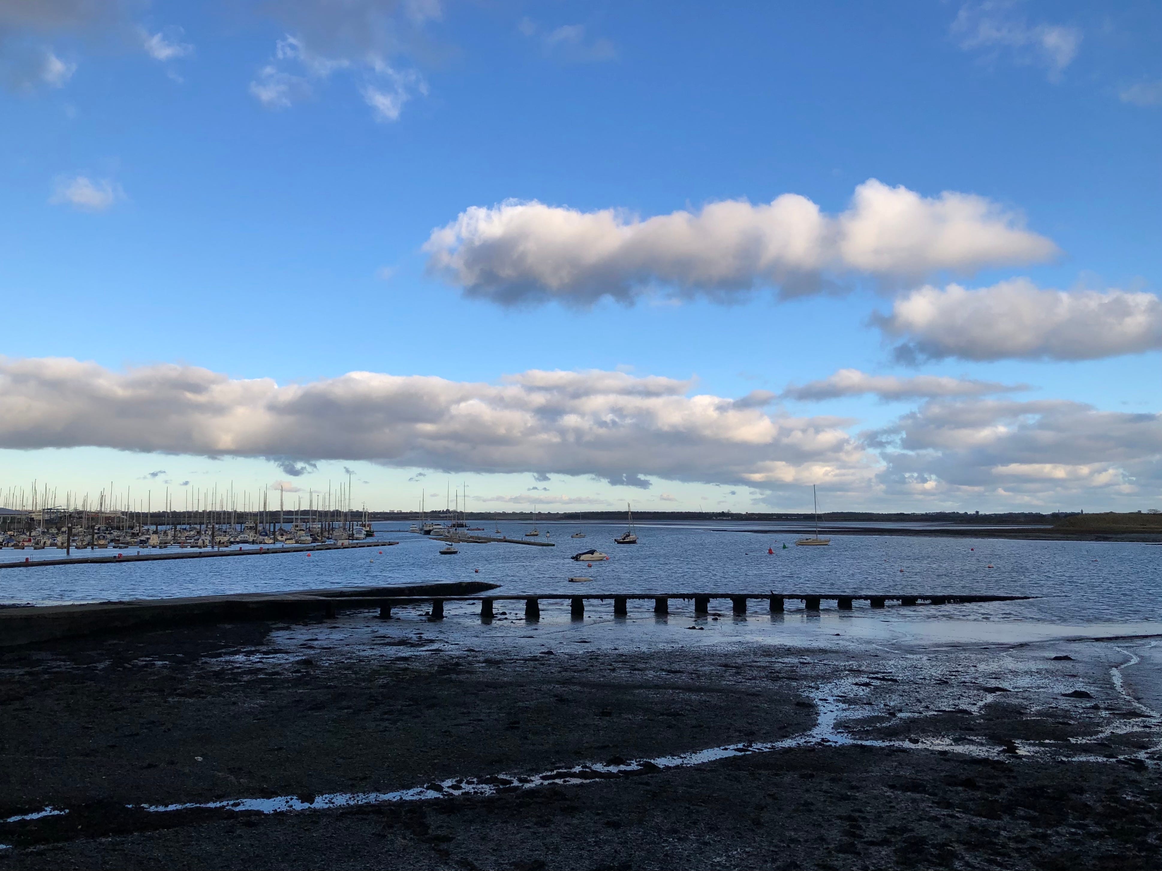 Surprising Offspring Podcast