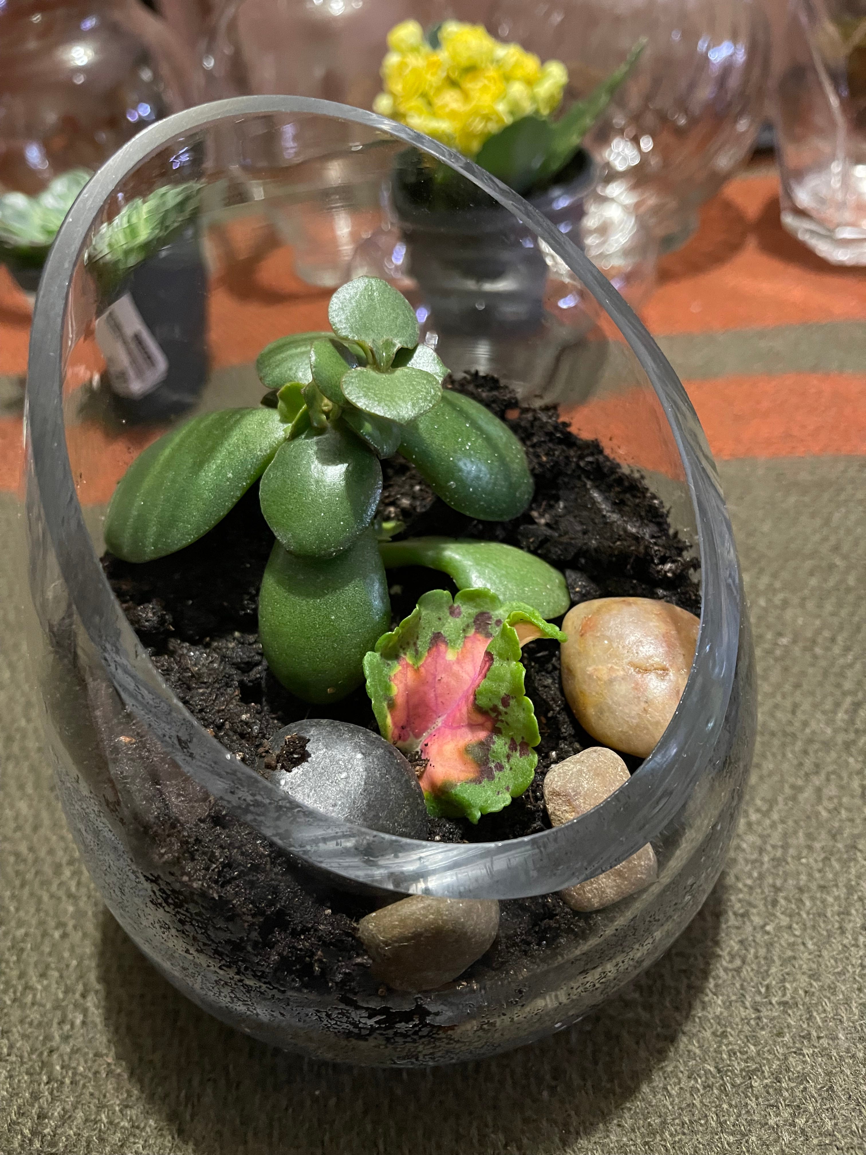 Carolyn Talks 6th chapter of the gospel of John( NKJV)