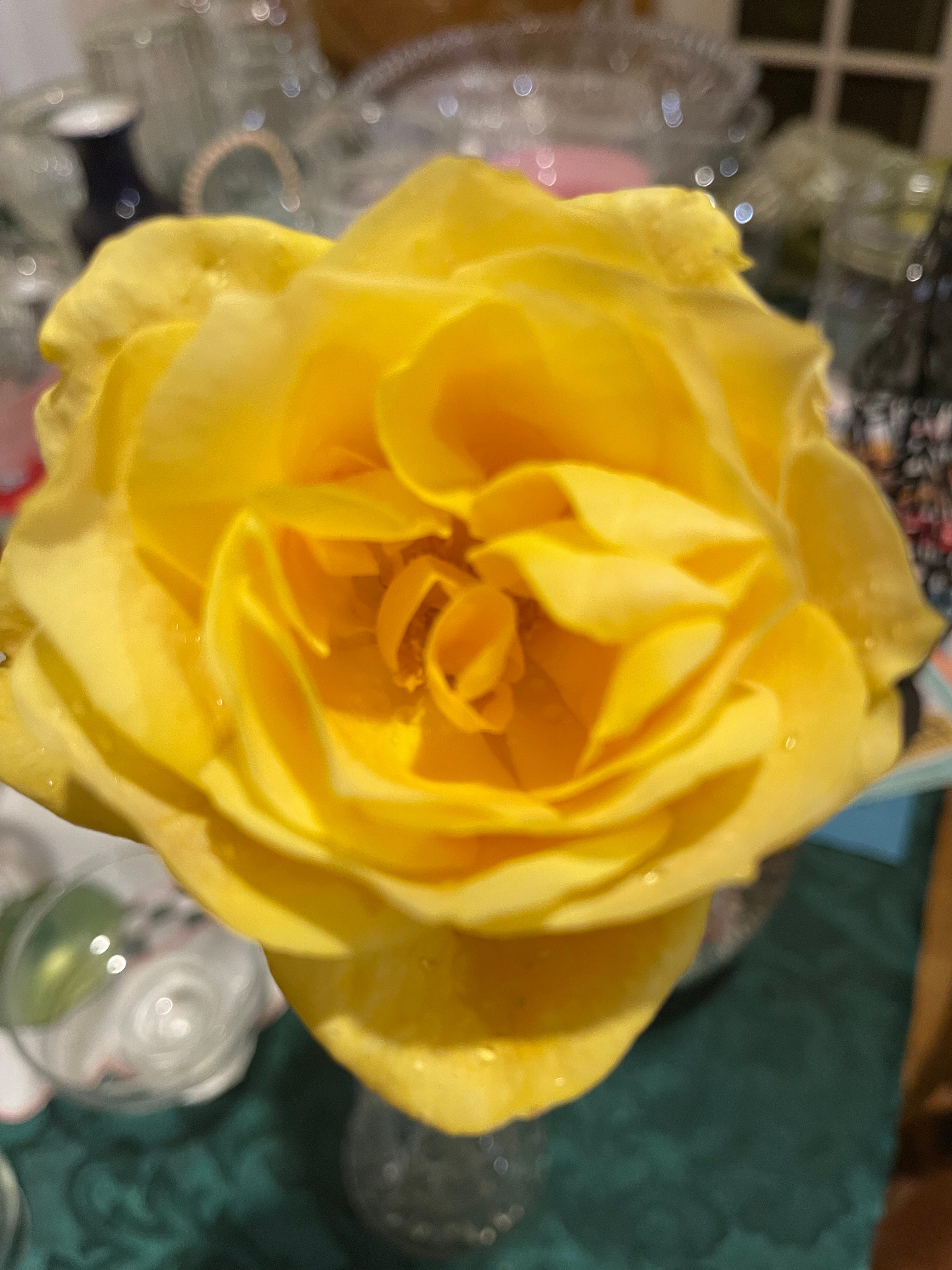 Carolyn Talks 6th chapter of the gospel of John( NKJV)